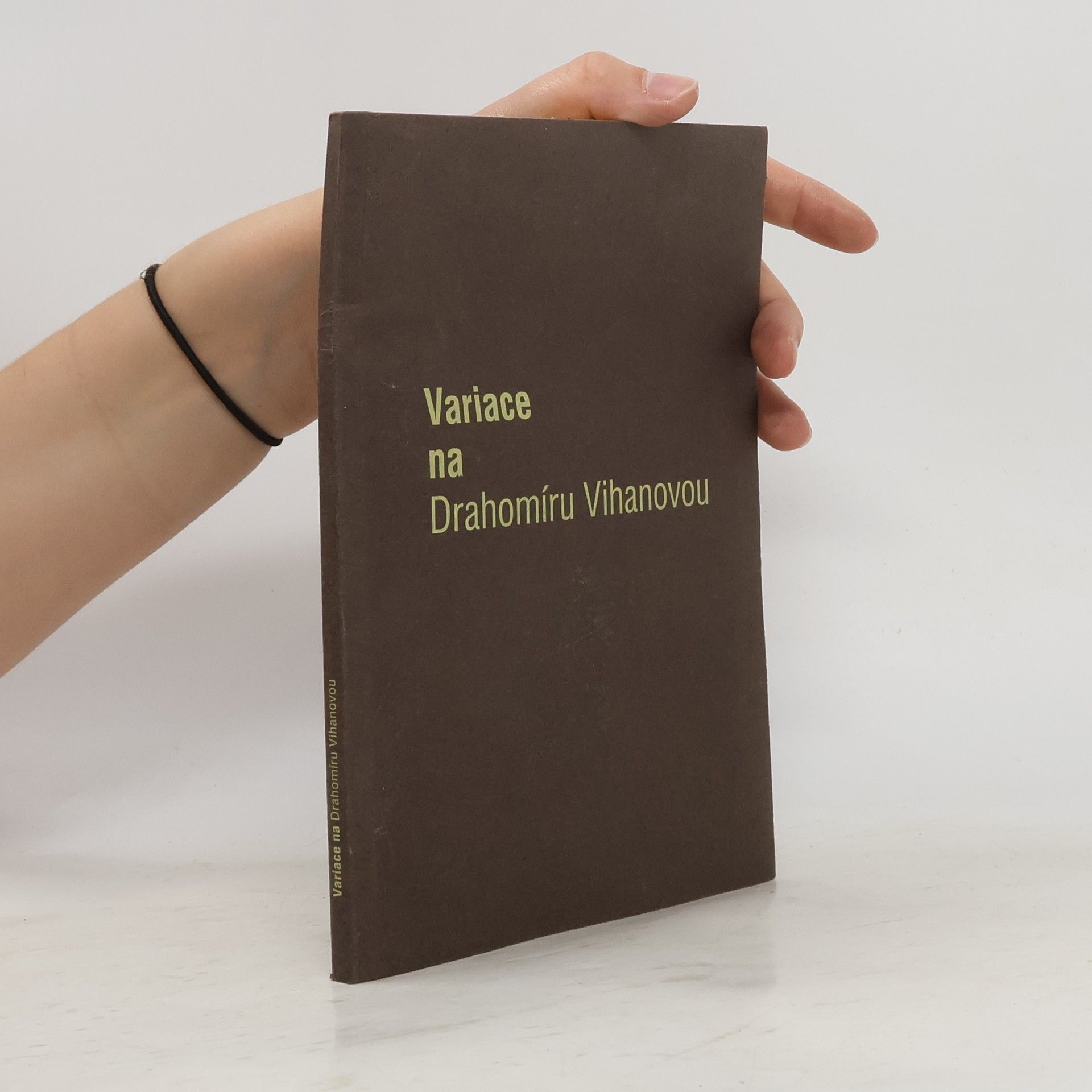 Jan Lukeš Variace na Drahomíru Vihanovou