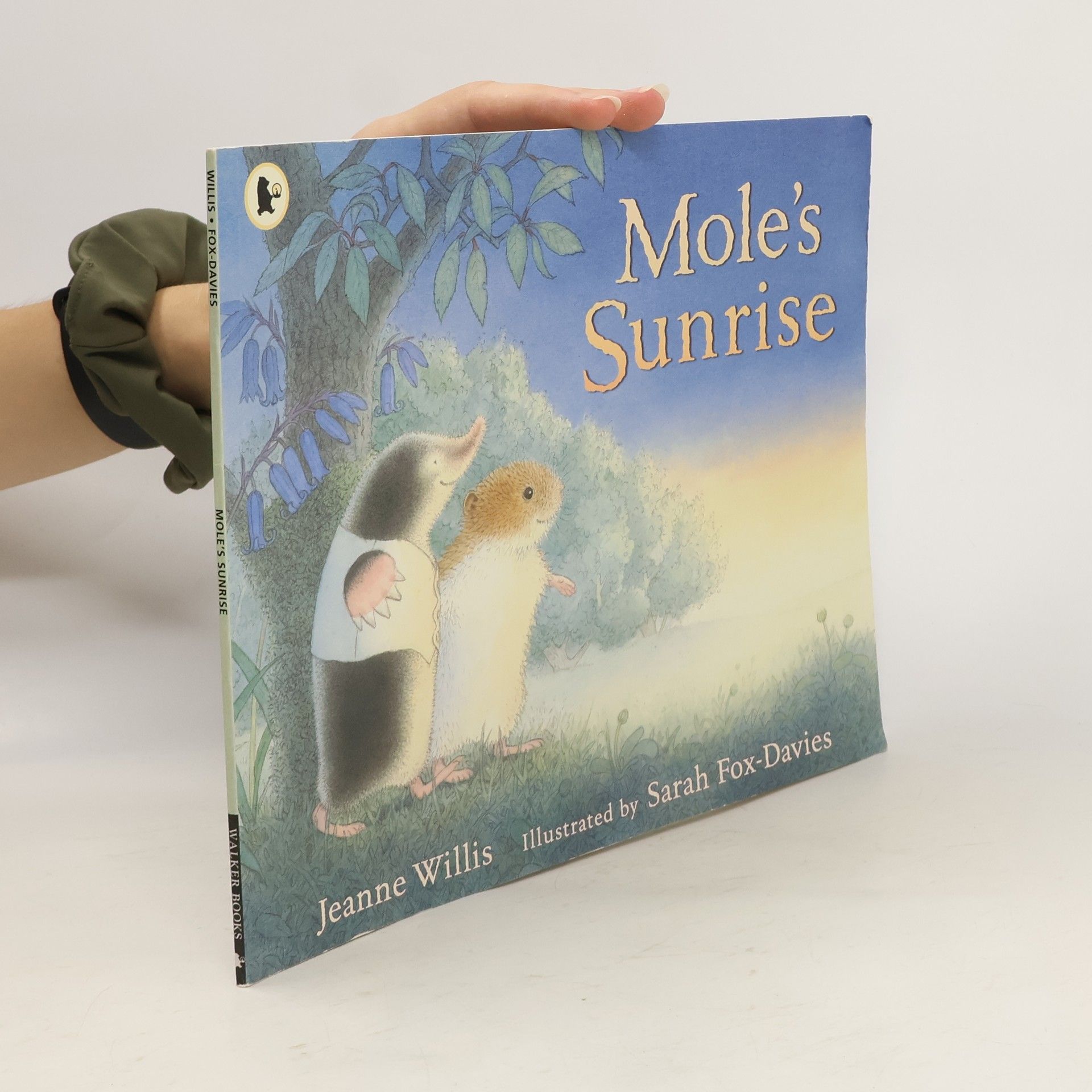 Jeanne Willis Mole's Sunrise