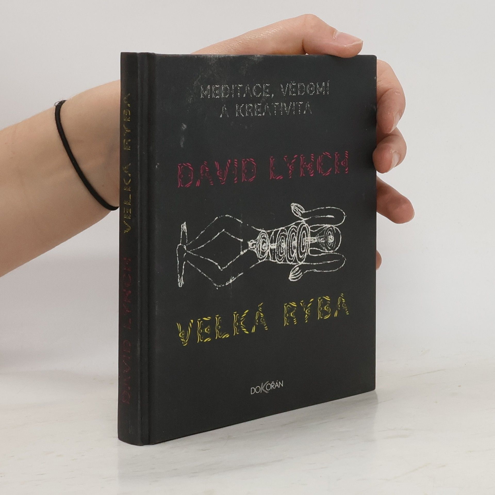 David Lynch Velká ryba: Meditace, vědomí a kreativita