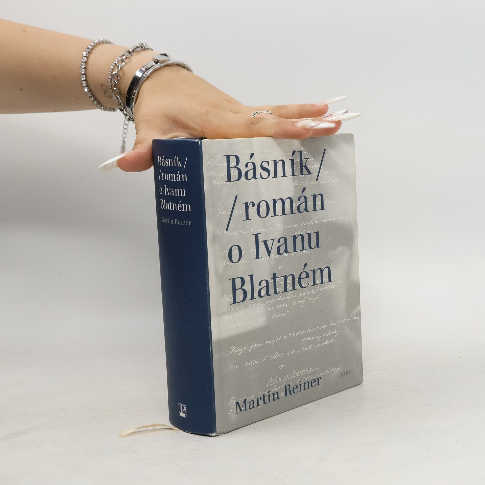 Martin Reiner Básník. Román o Ivanu Blatném