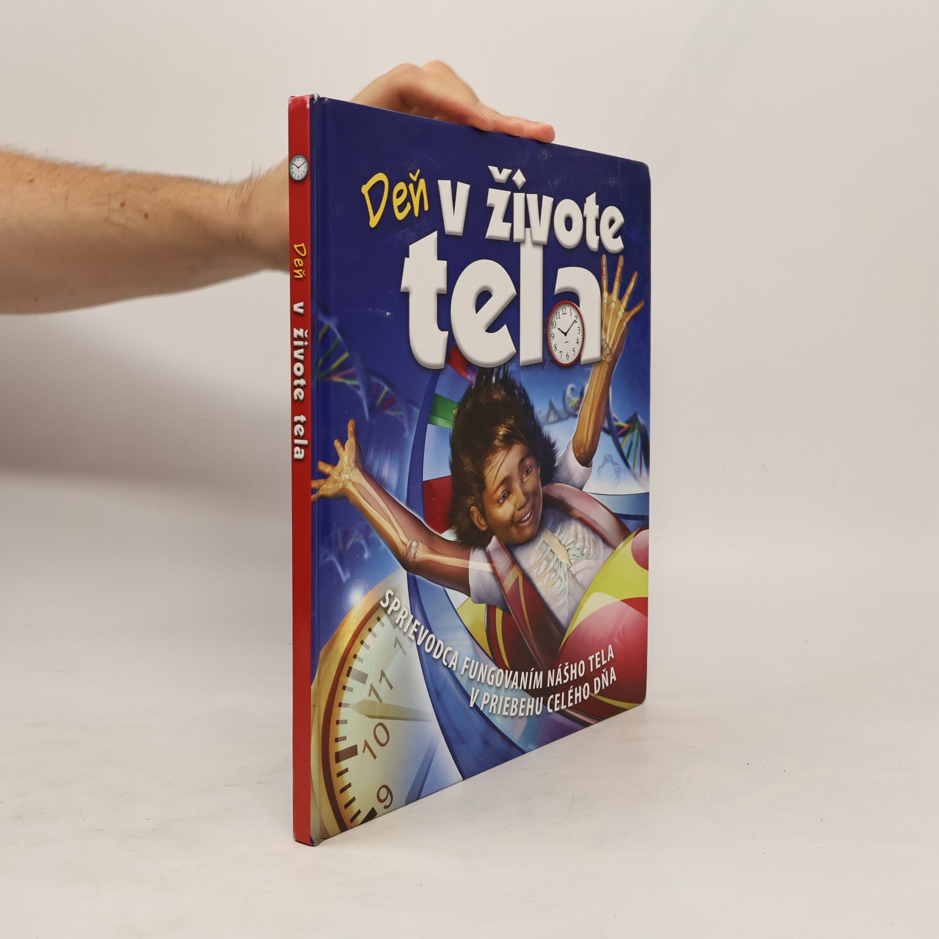 Autorenkollektiv Deň v živote tela