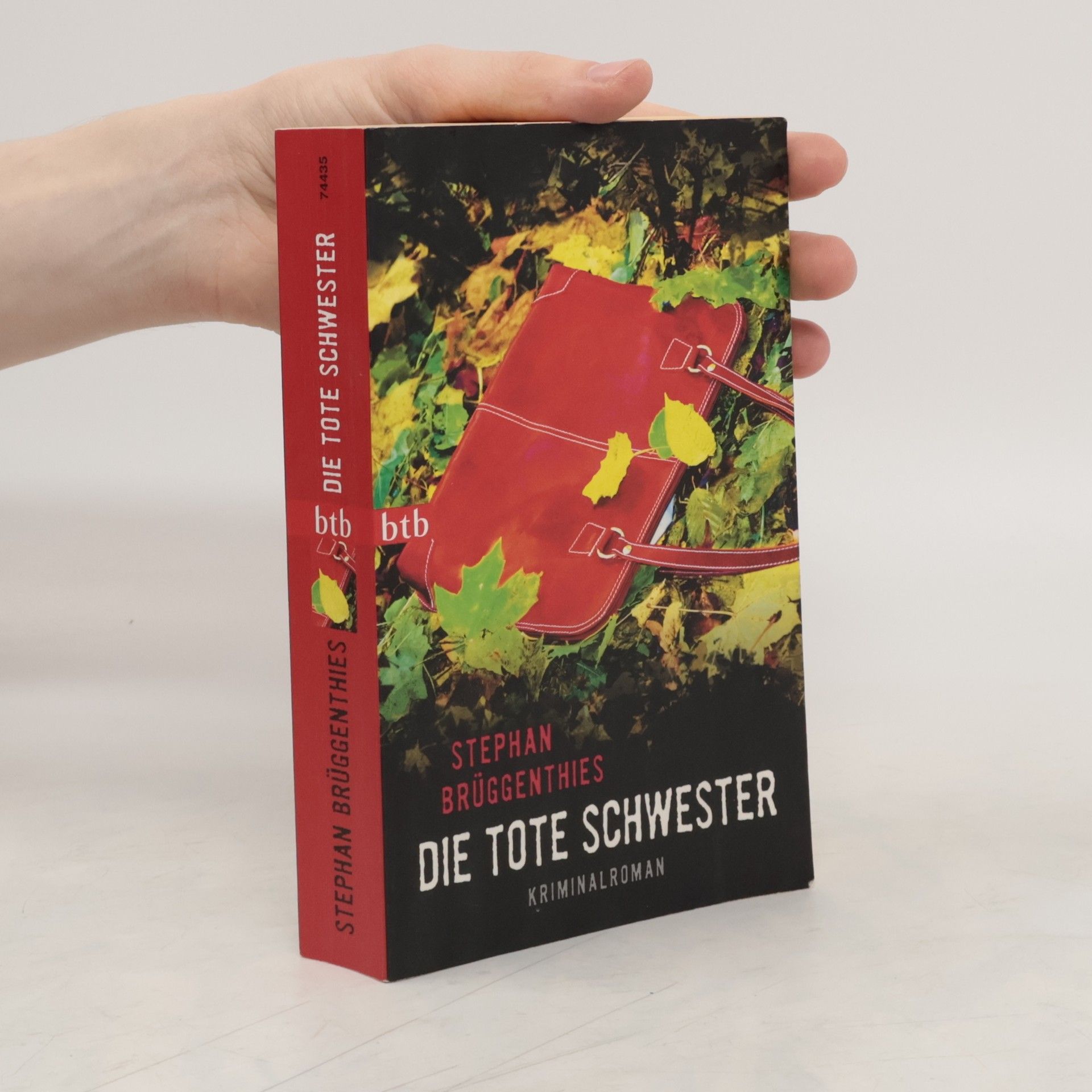 Stephan Brüggenthies Die tote Schwester