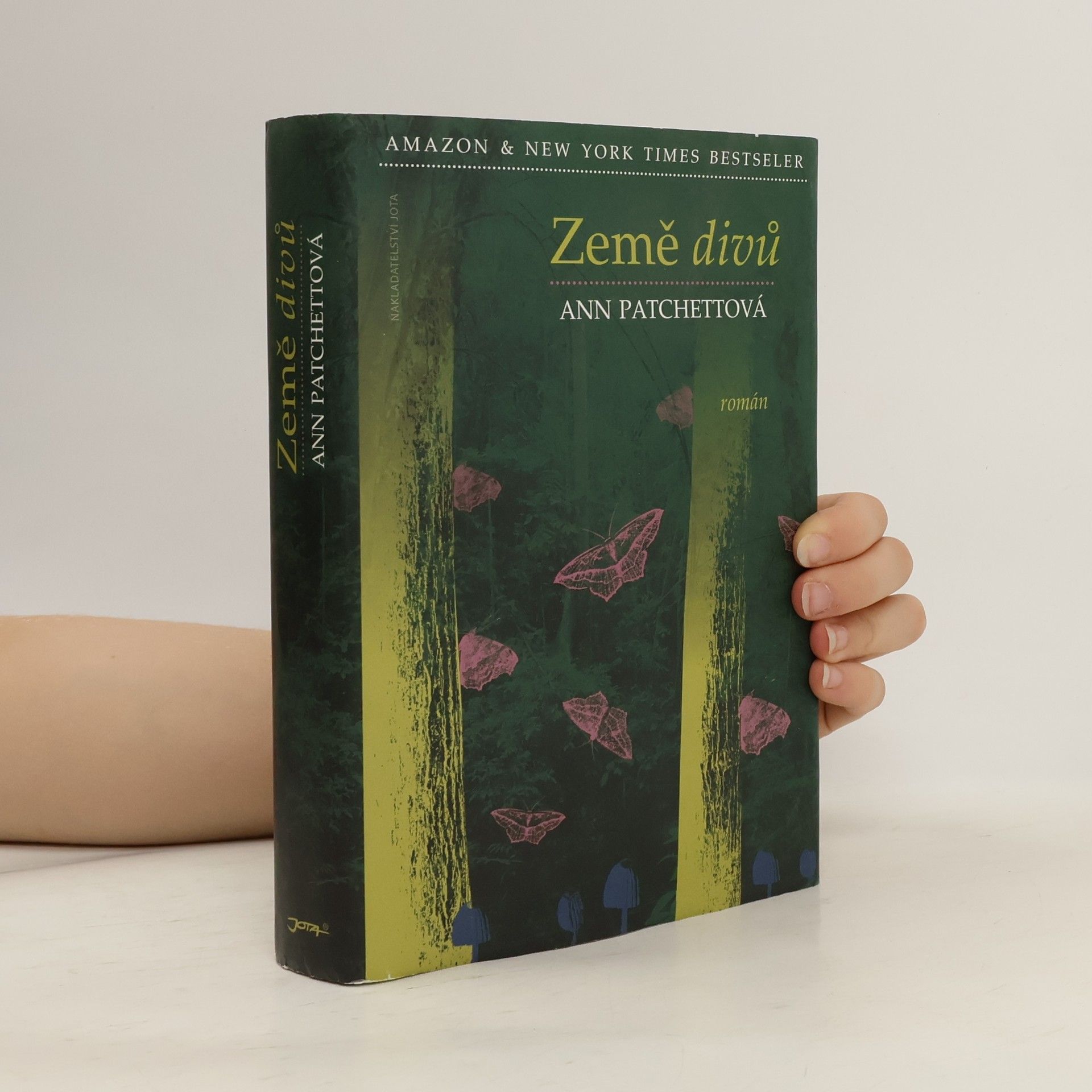 Ann Patchett Země divů