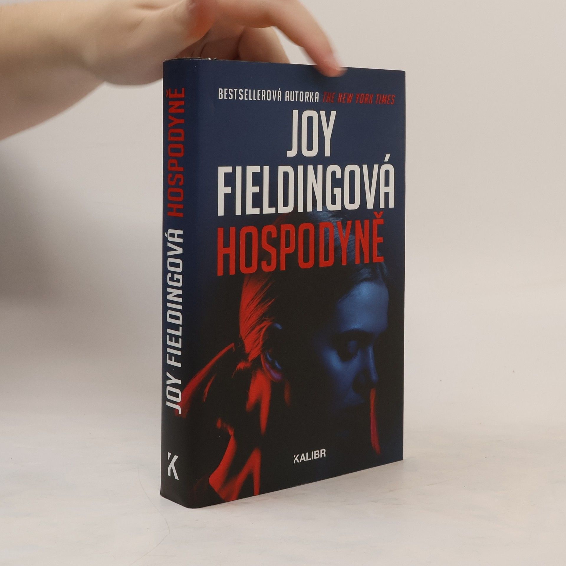 Joy Fielding Hospodyně