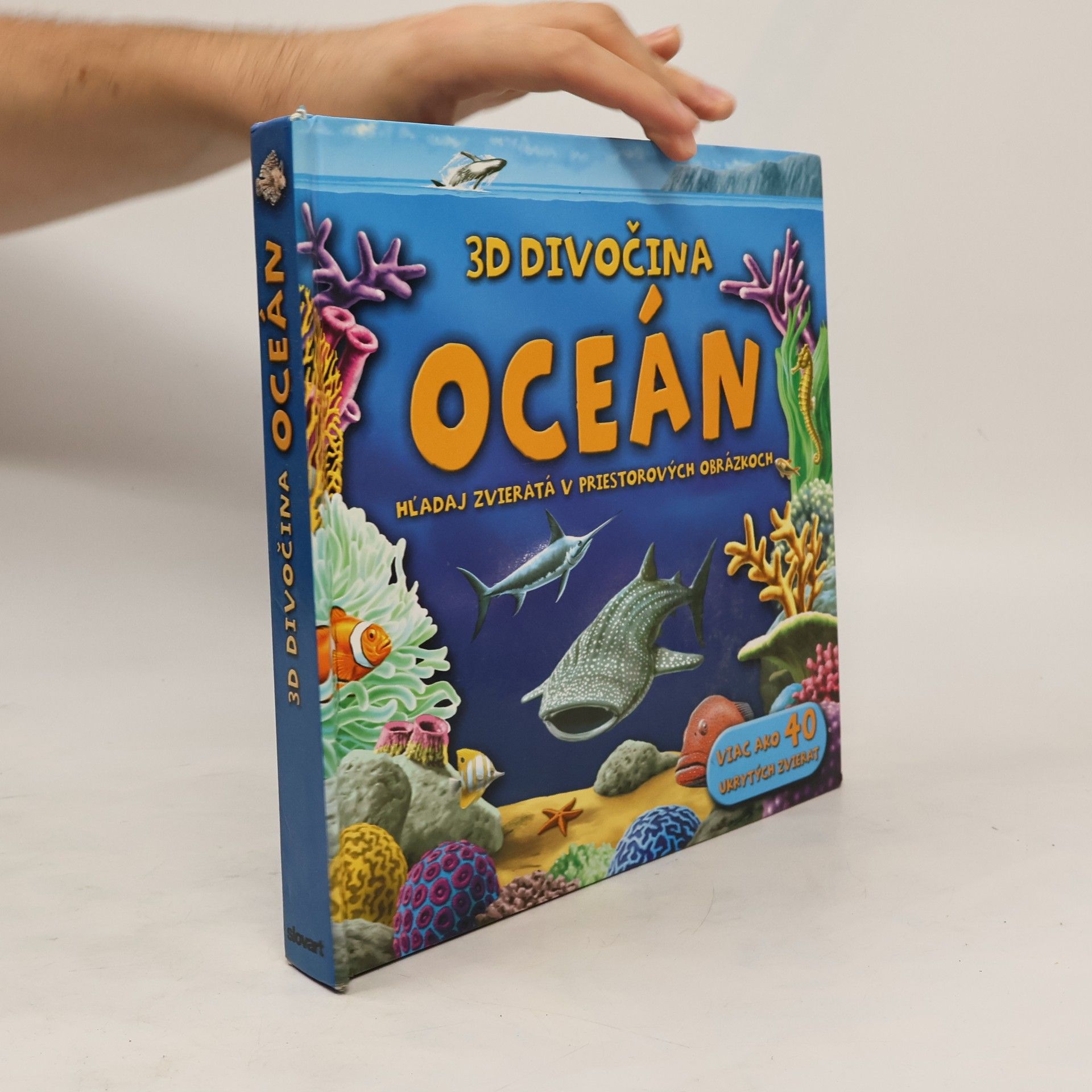 kolektiv 3D Divočina : Oceán