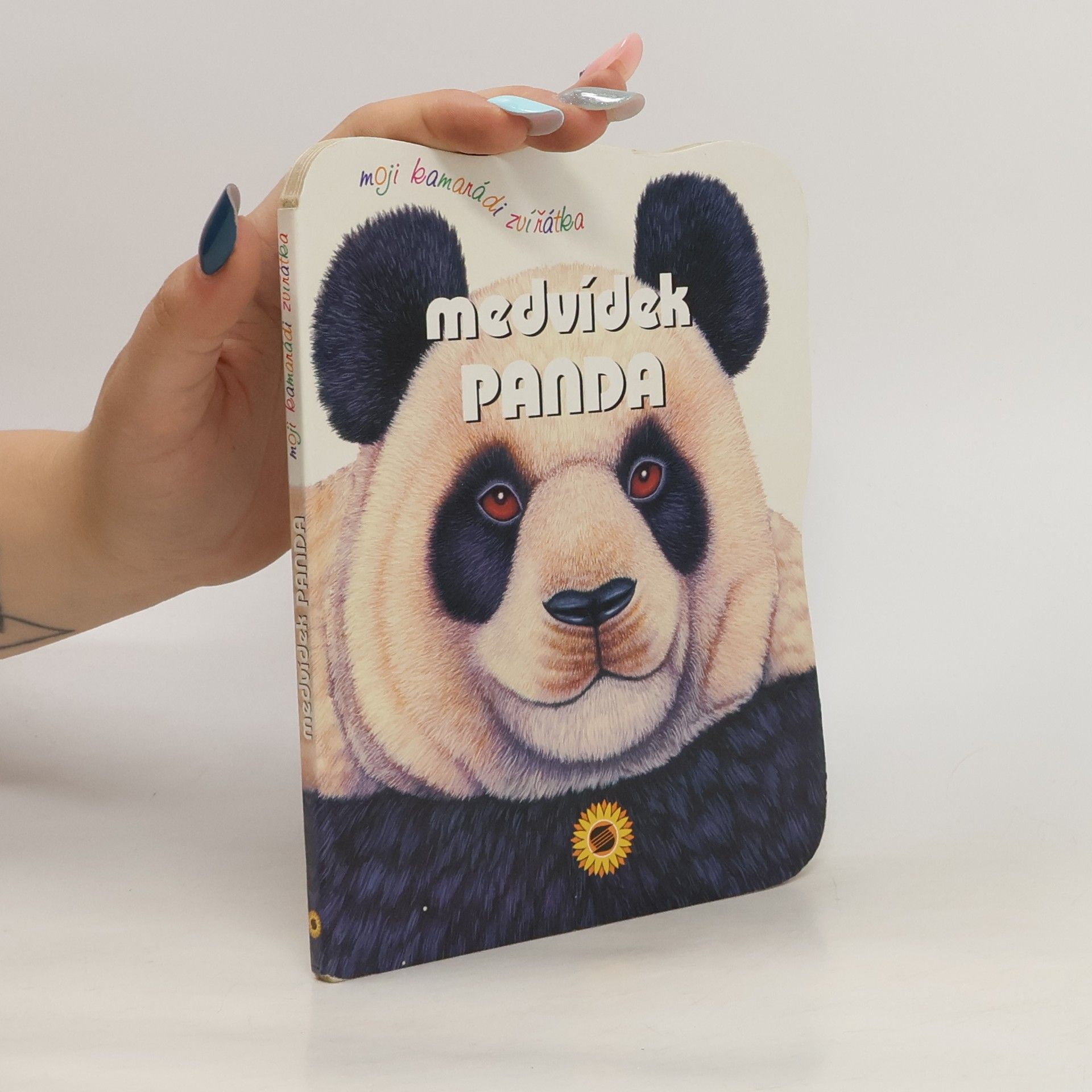 Consuelo Delgado Beistegui Medvídek panda