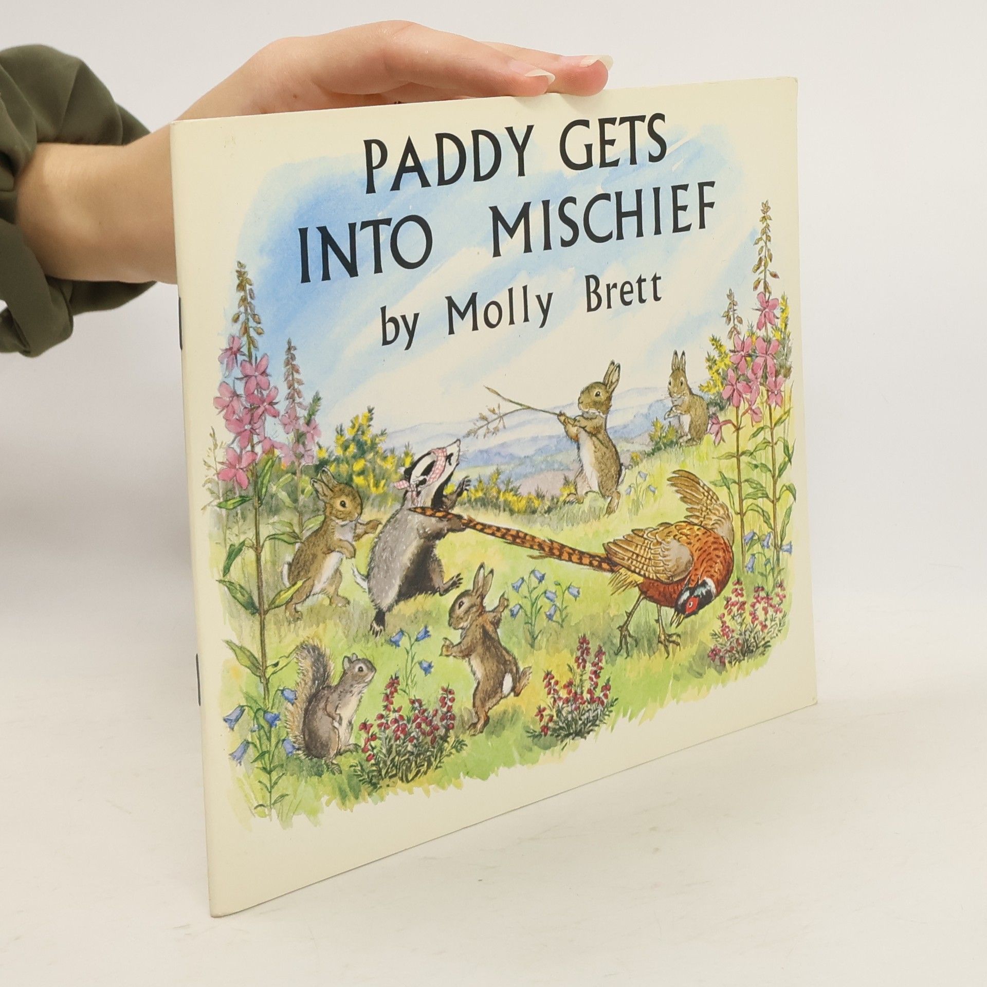 Molly Brett Paddy Gets Into Mischief