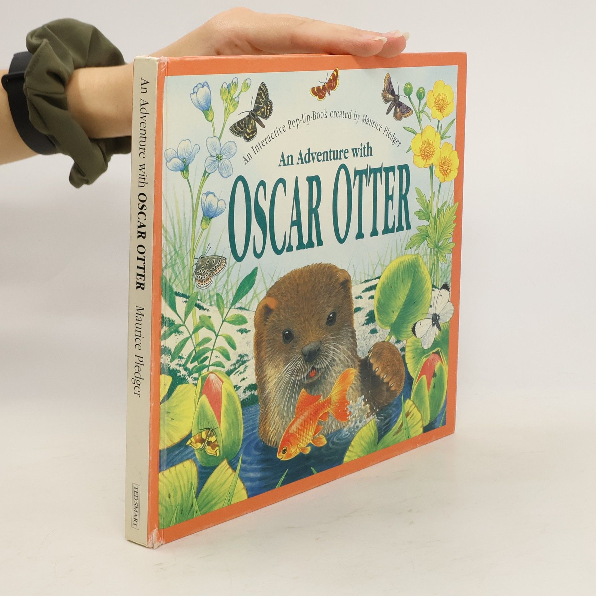 Maurice Pledger An Adventure with Oscar Otter