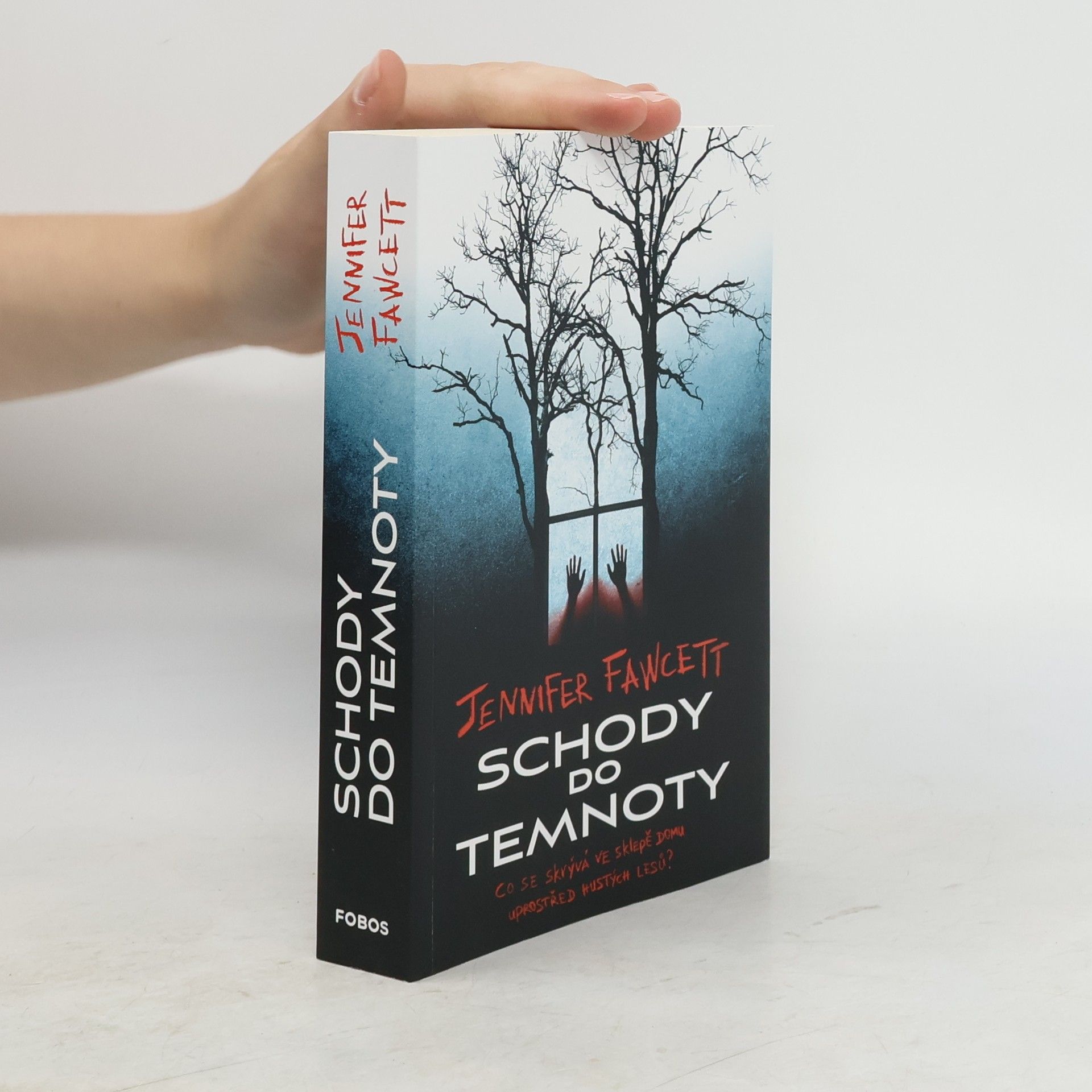 Jennifer Fawcett Schody do temnoty