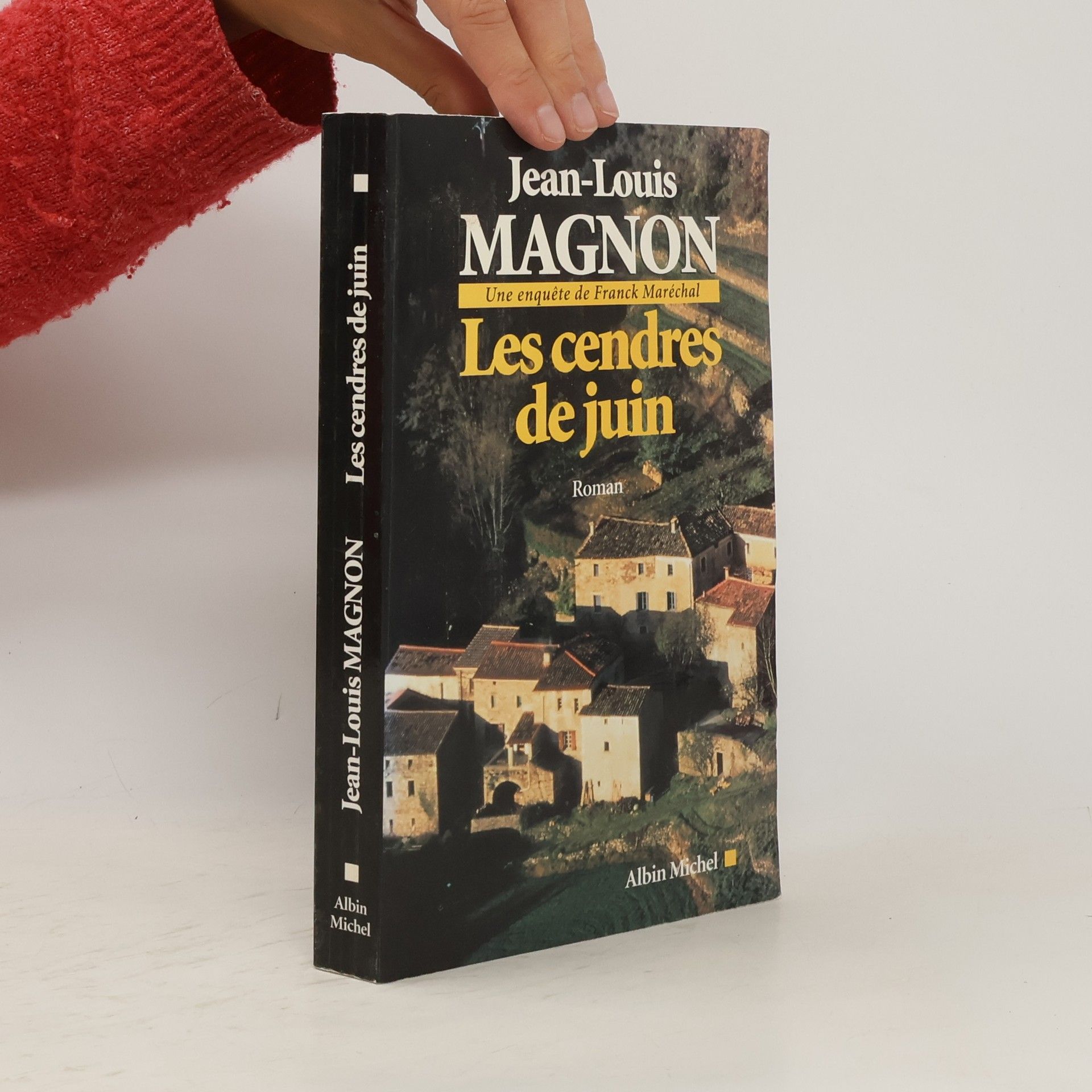 Jean-Louis Magnon Les cendres de juin