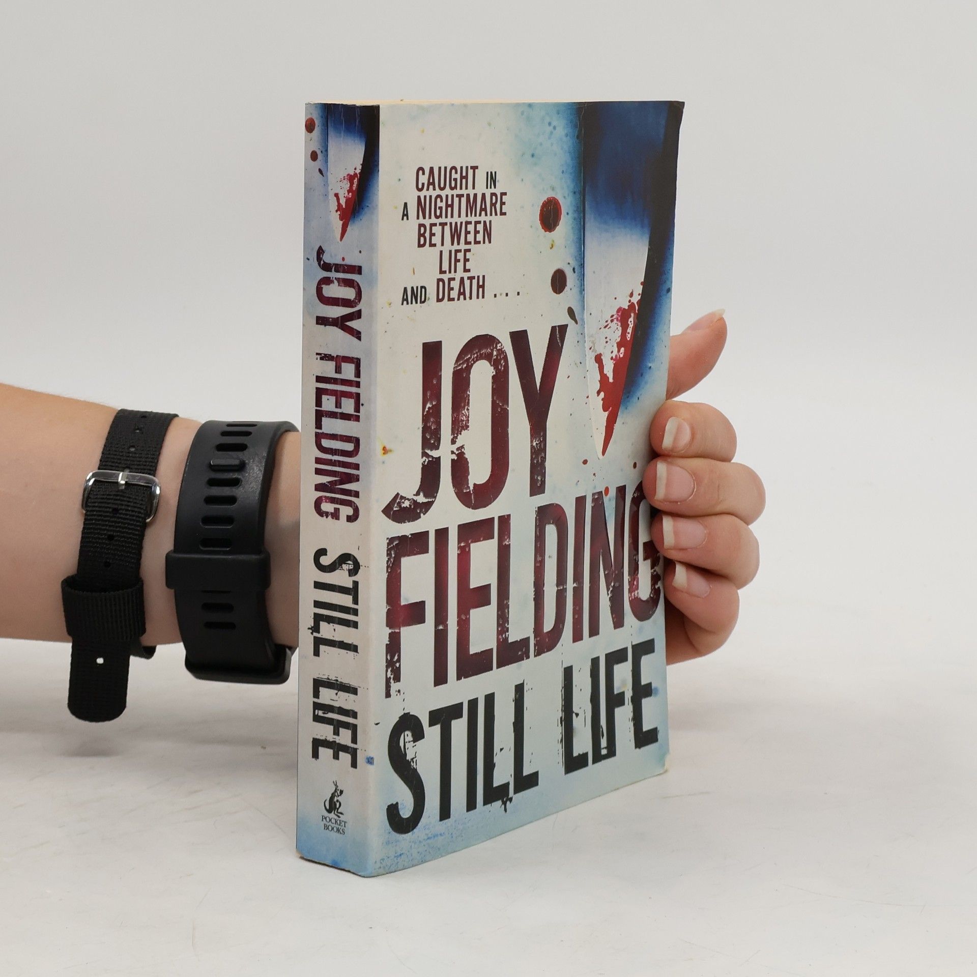Joy Fielding Still life