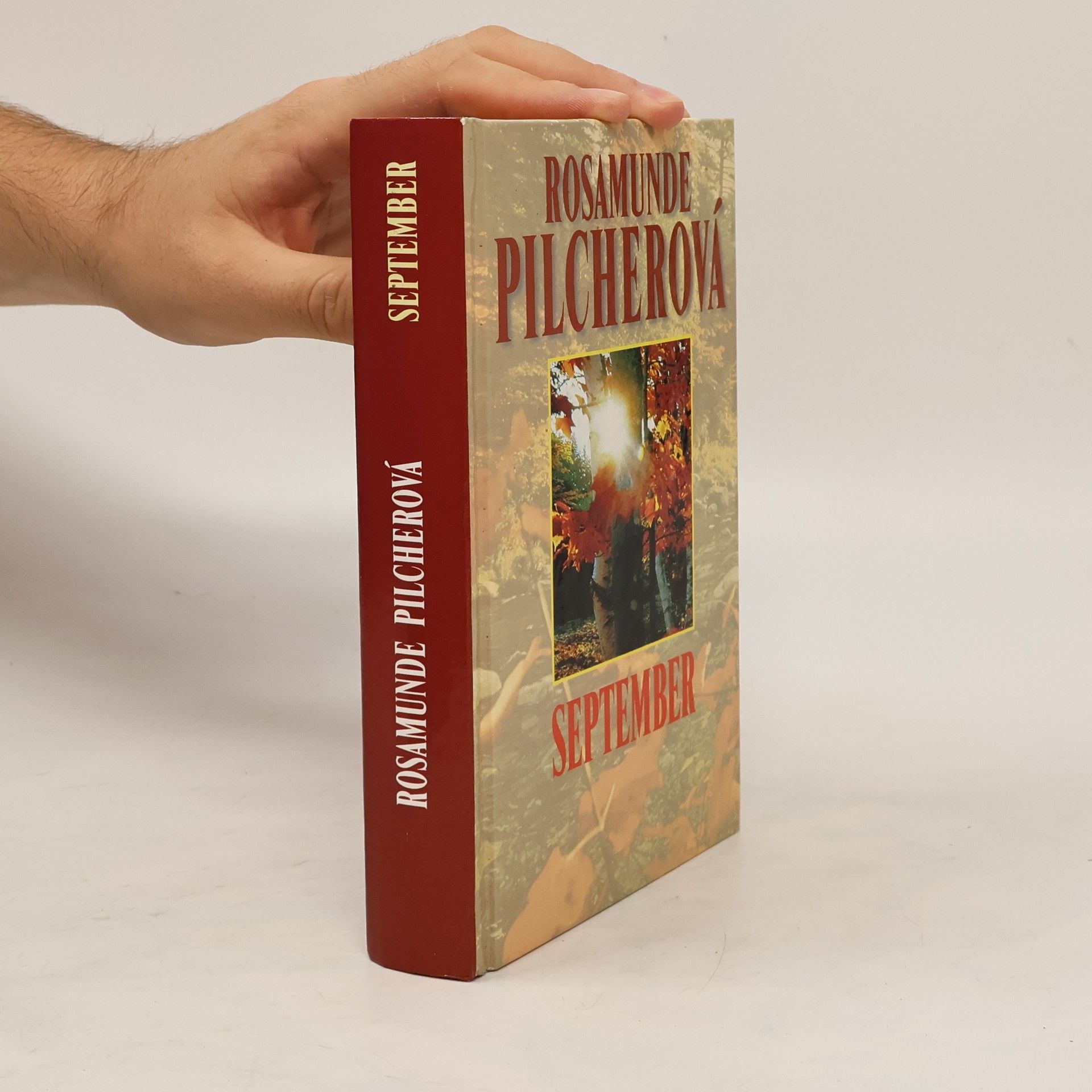 Rosamunde Pilcher September