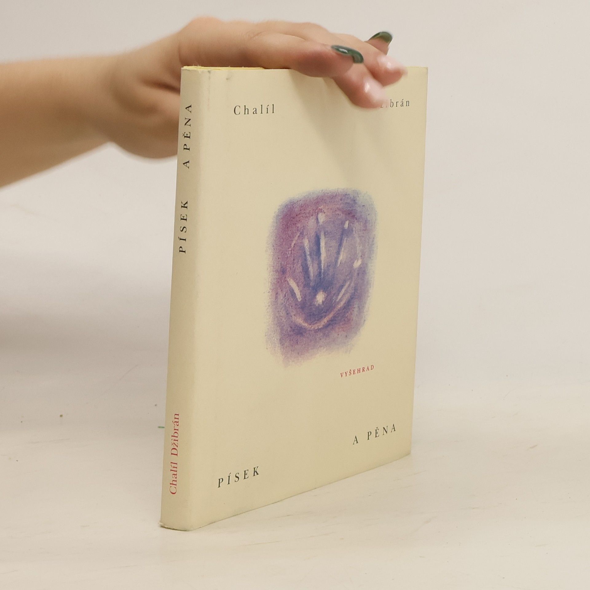 Kahlil Gibran Písek a pěna