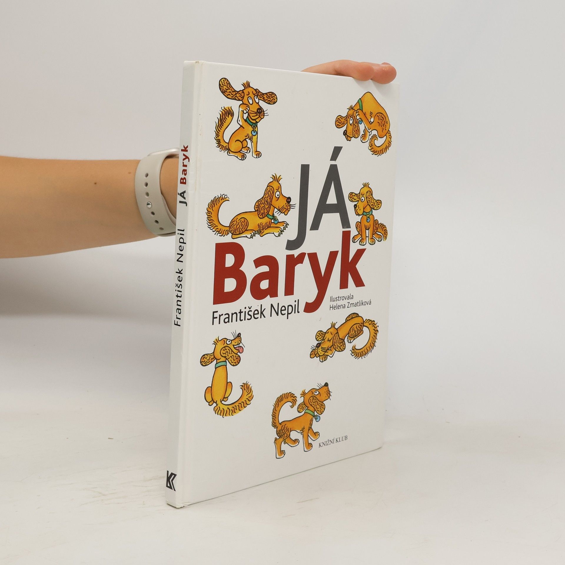 František Nepil Já, Baryk