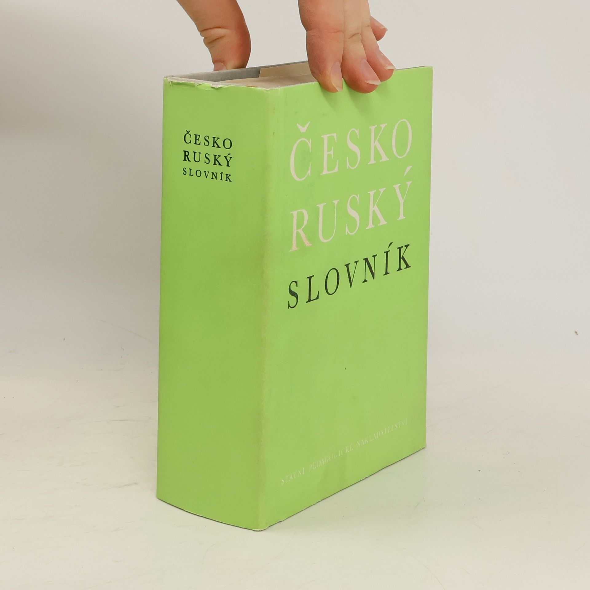 kolektiv Česko-ruský slovník