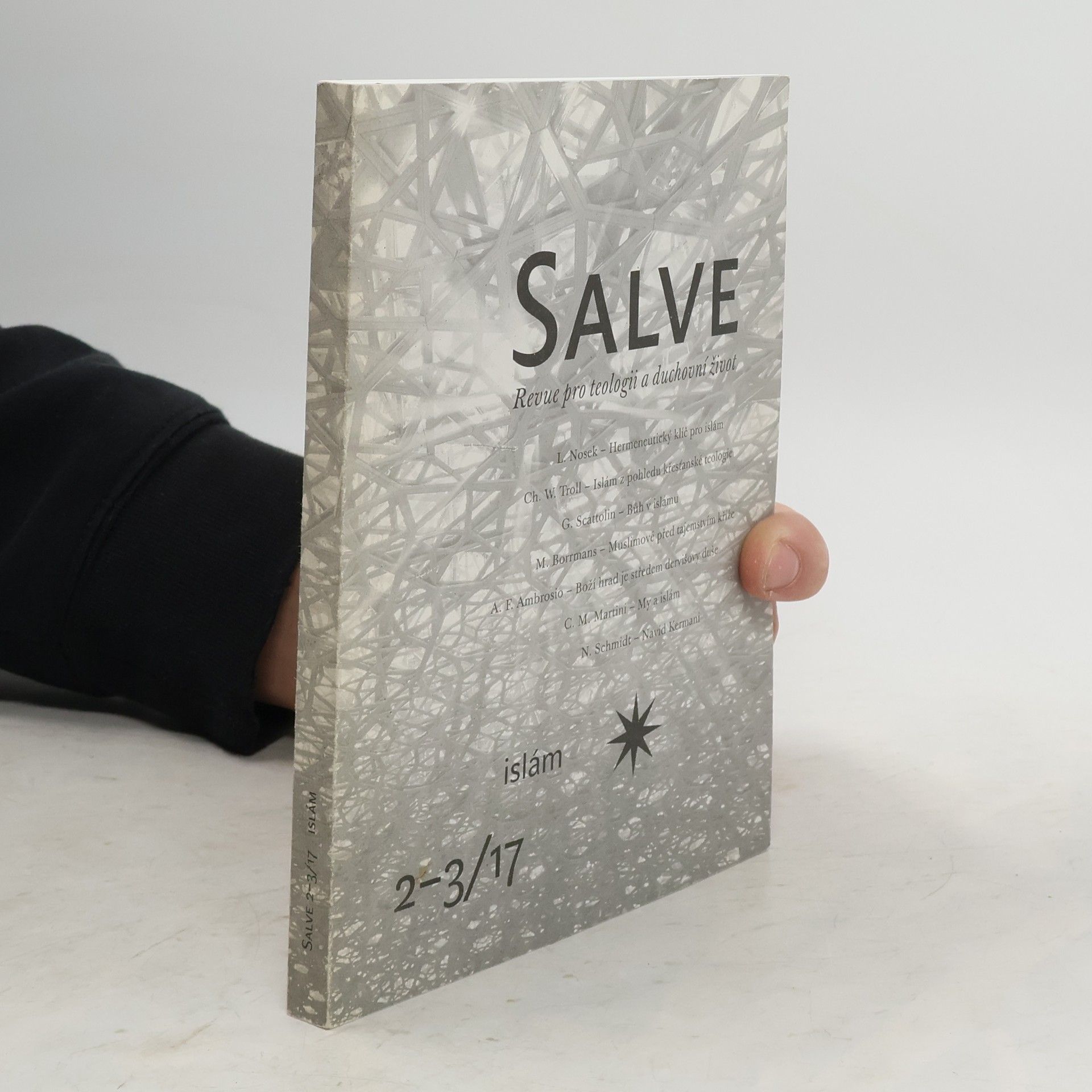 Collective Salve. Revue pro teologii a duchovní život 2-3/17