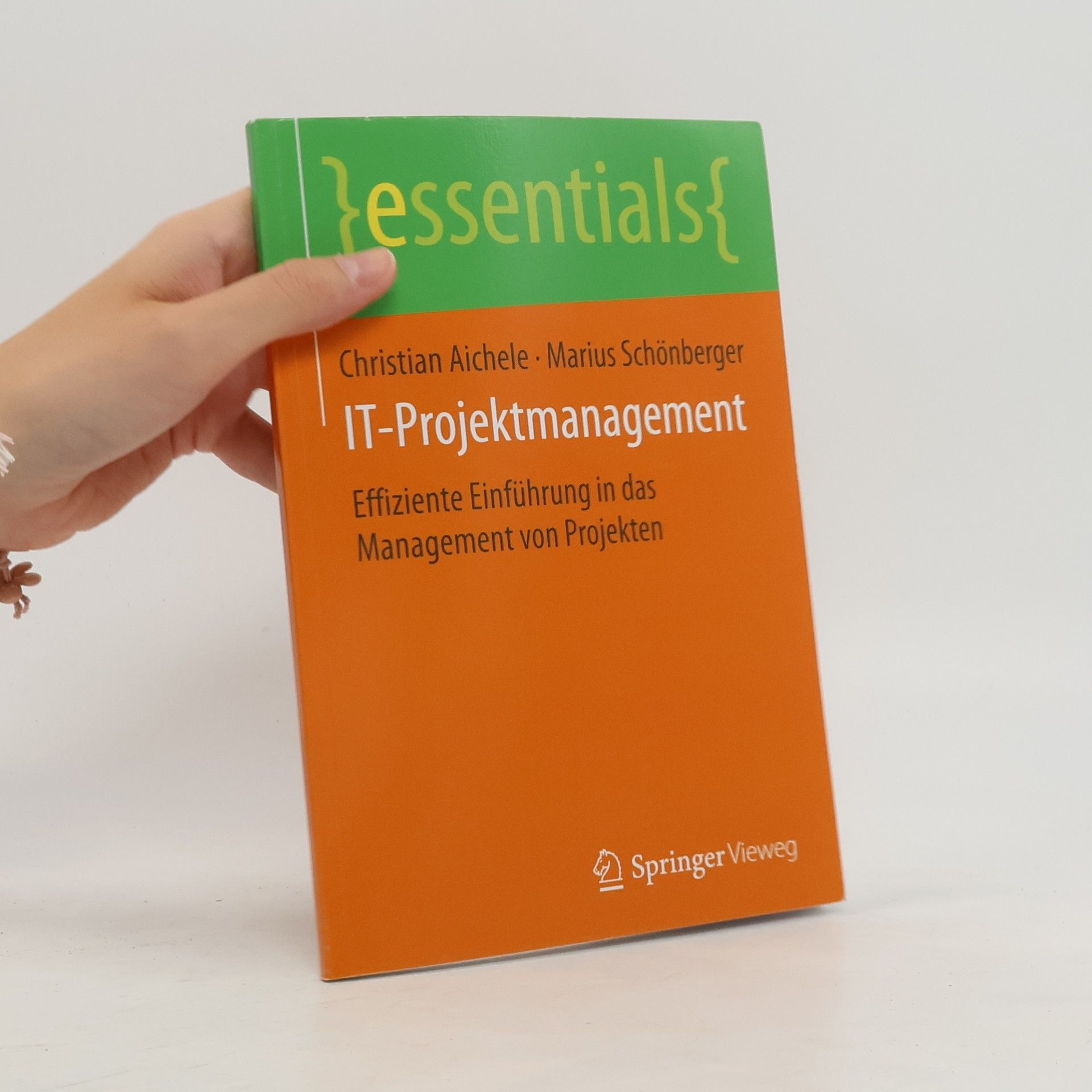 Christian Aichele IT-Projektmanagement