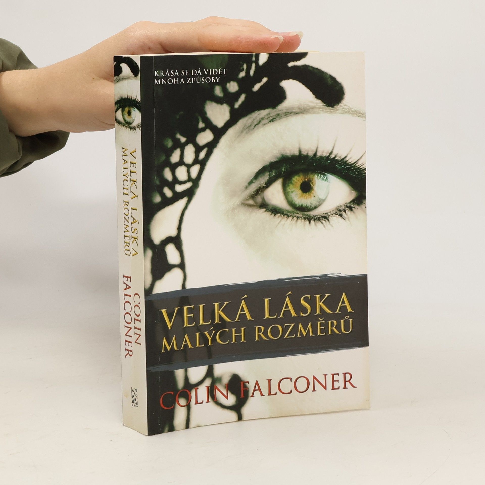 Colin Falconer Velká láska malých rozměrů