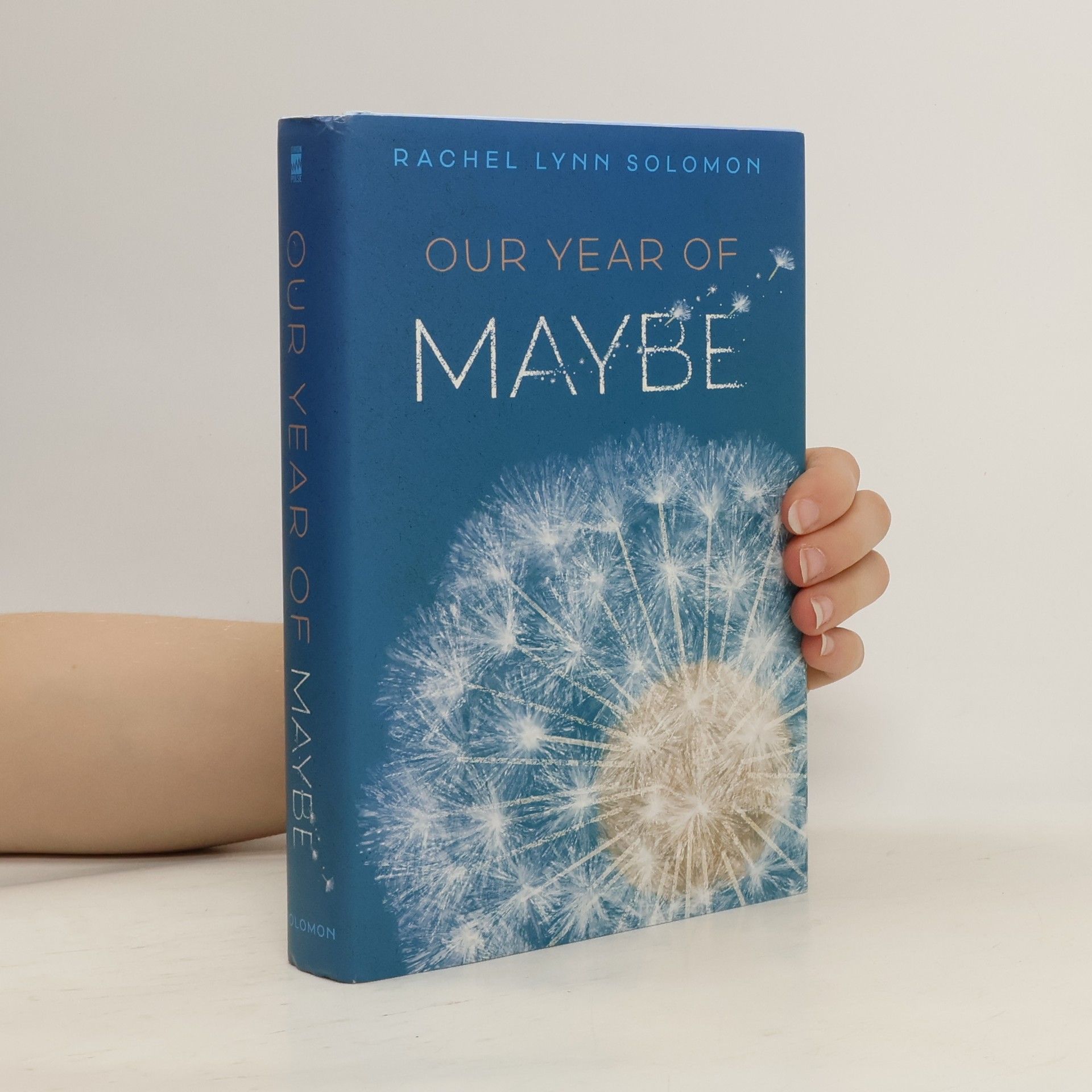 Rachel Lynn Solomon Our Year of Maybe