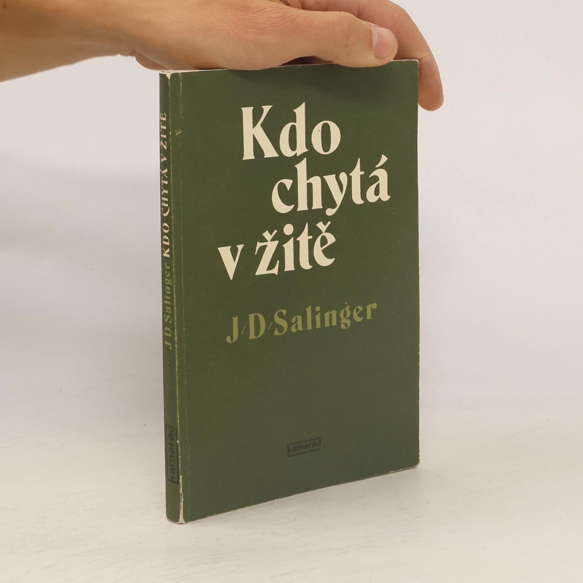 J. D. Salinger Kdo chytá v žitě