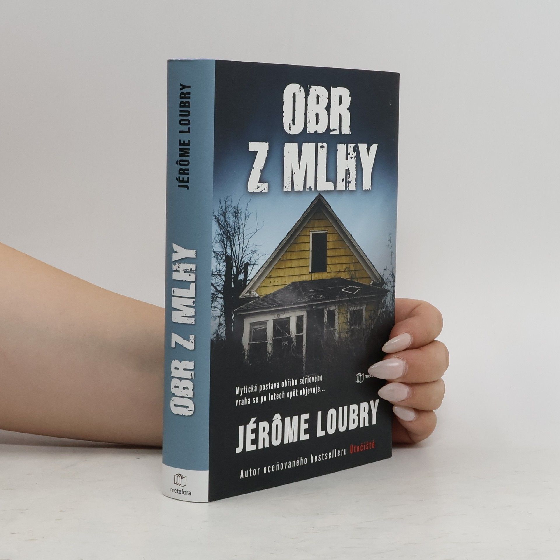 Jérôme Loubry Obr z mlhy