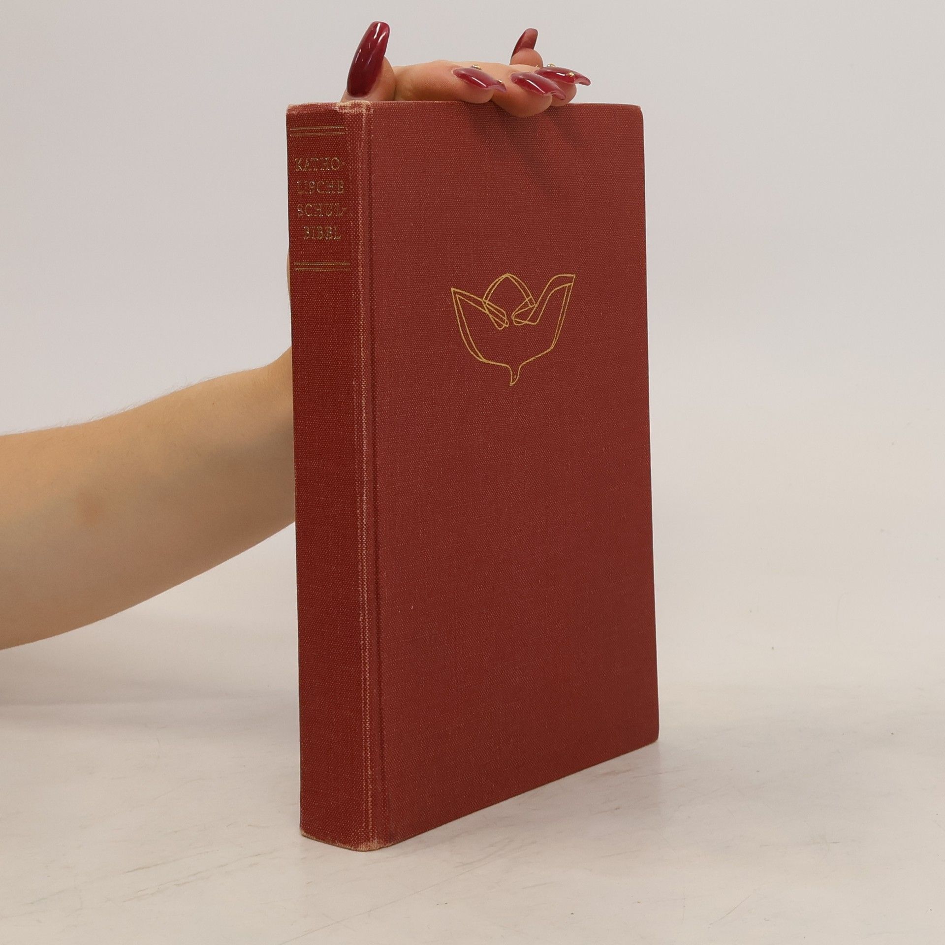 Collectif d'auteurs Katolische Schulbibel
