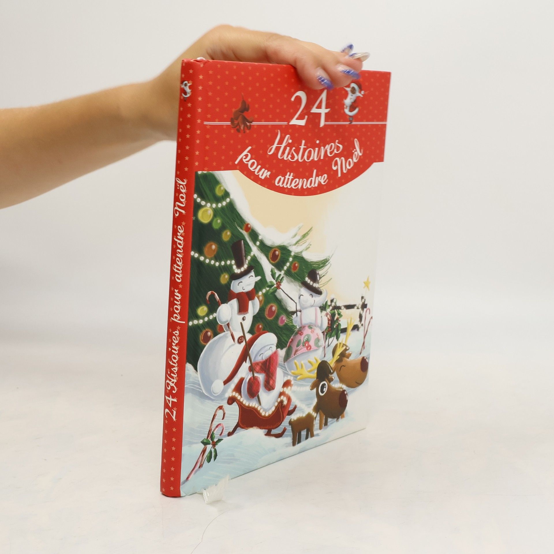 Collectif d'auteurs 24 histoires pour attendre Noël