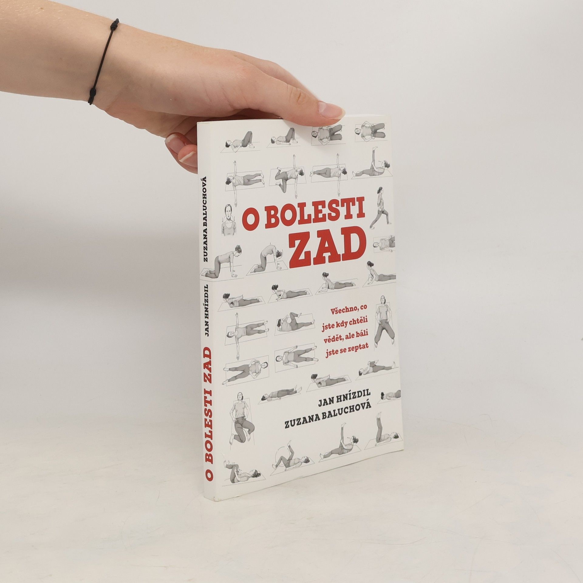 Jan Hnízdil O bolesti zad