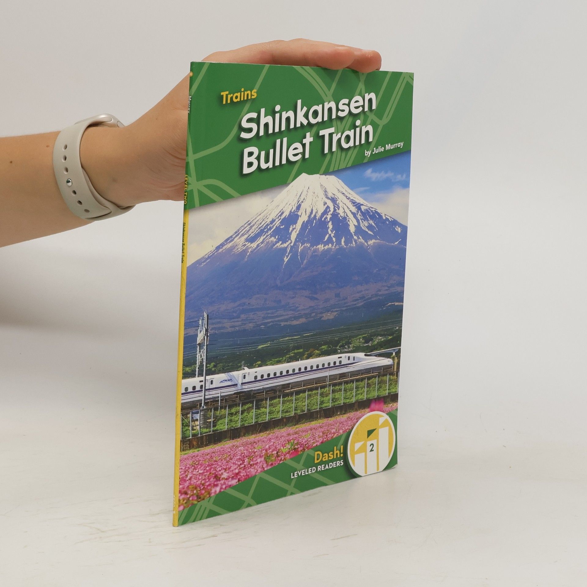 Julie Murray Trains: Shinkansen Bullet Train