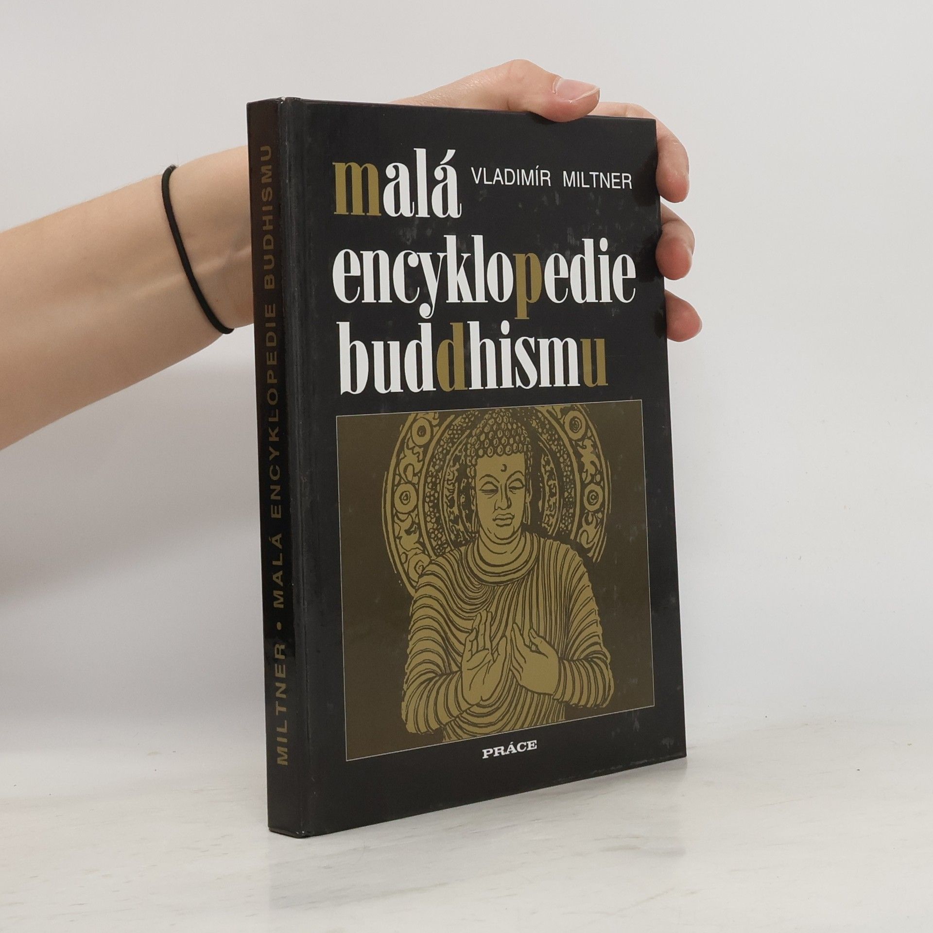 Vladimír Miltner Malá encyklopedie buddhismu