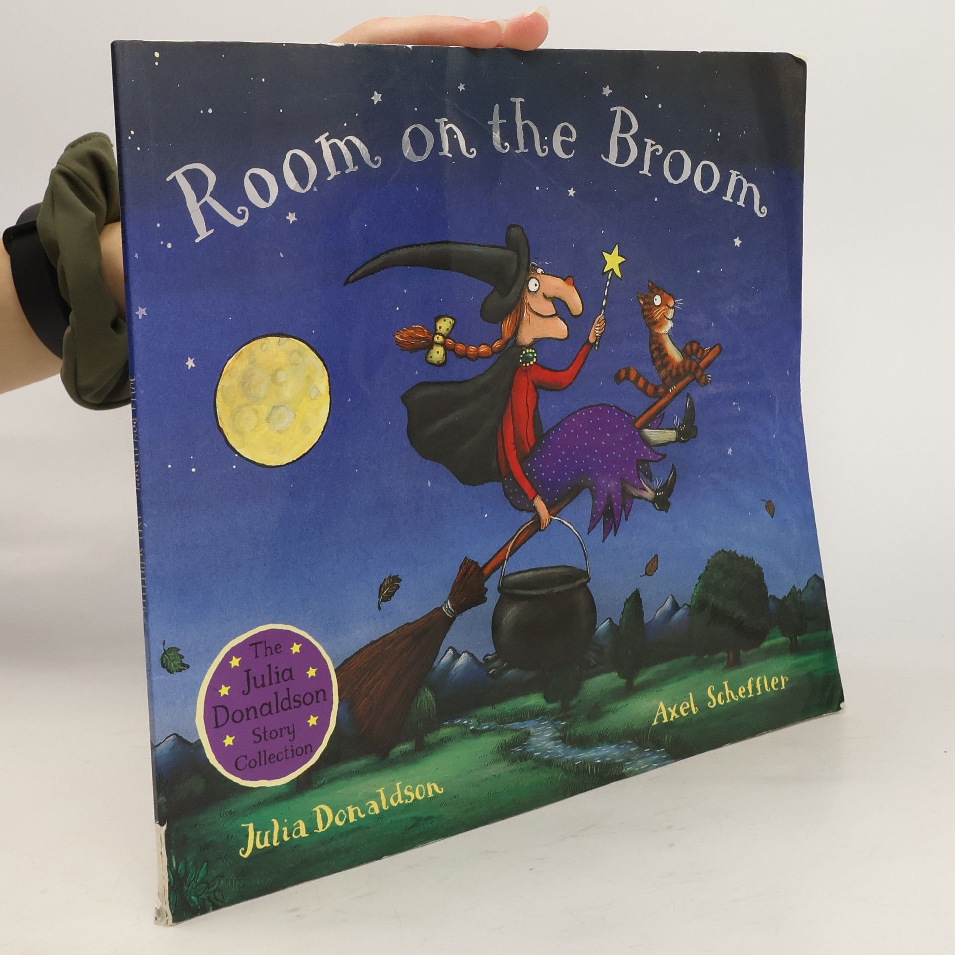 Julia Donaldson Room on the Broom