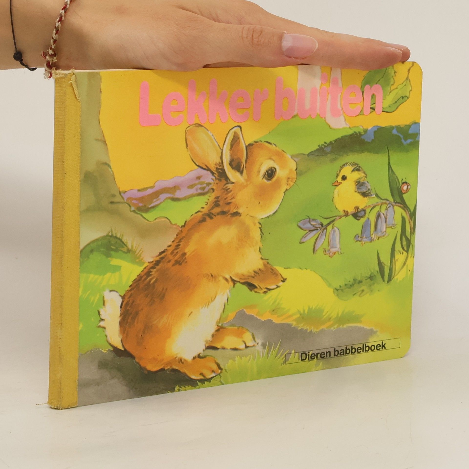 Collectif d'auteurs Lekker buiten