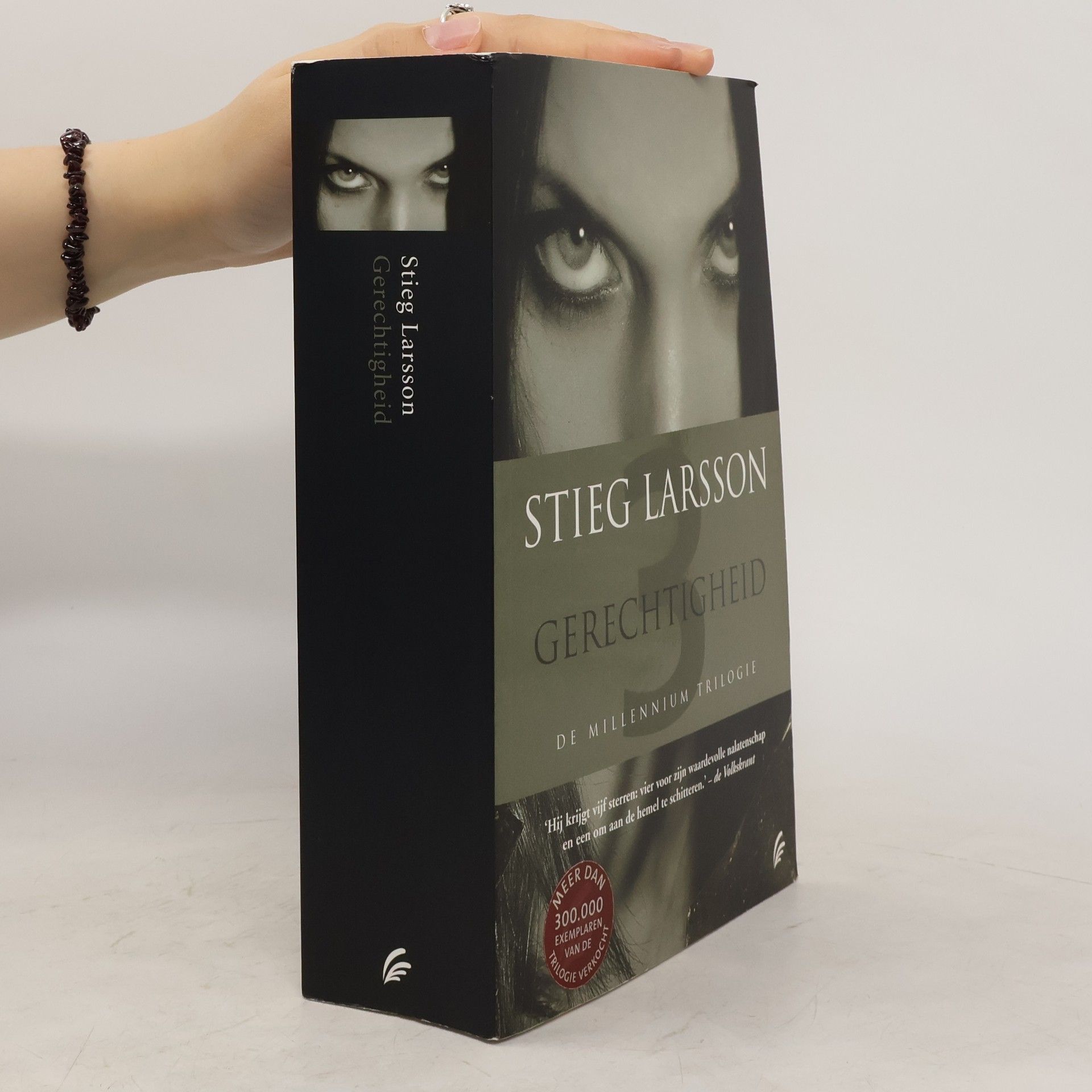 Stieg Larsson Gerechtigheid