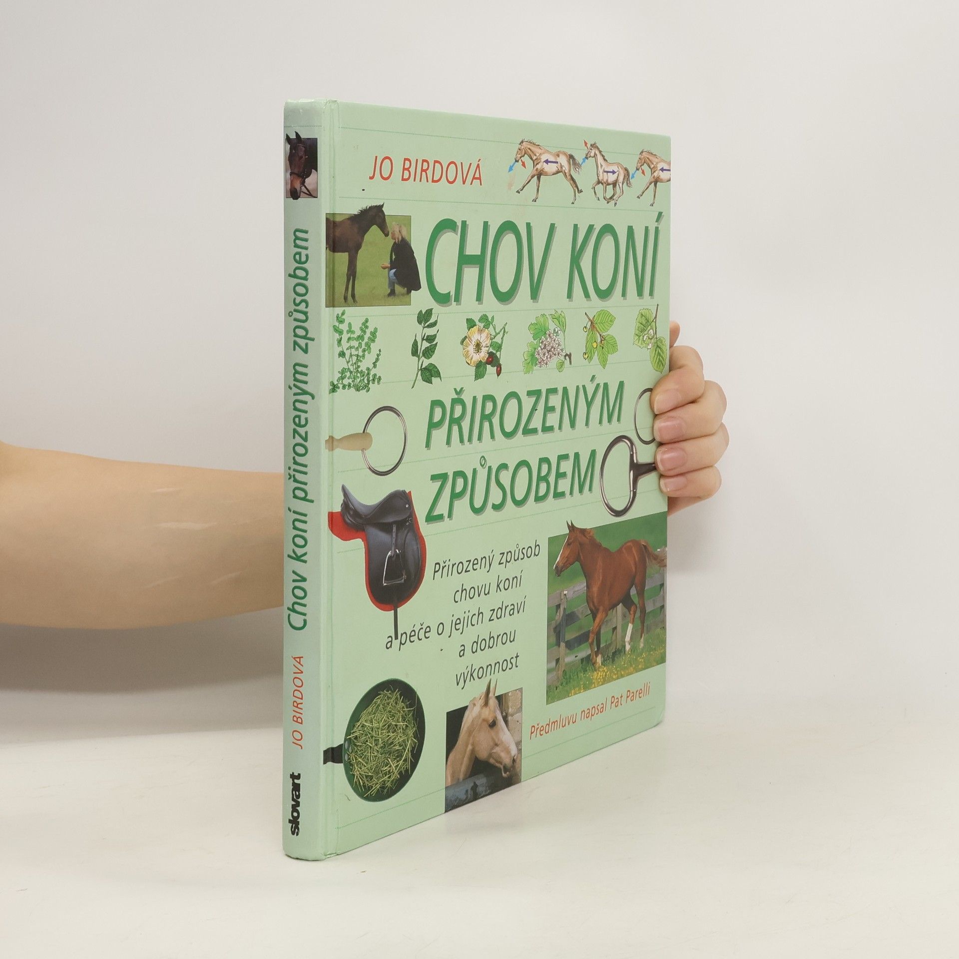 Jo Bird Chov koní přirozeným způsobem: přirozený způsob chovu koní a péče o jejich zdraví a dobrou výkonnost