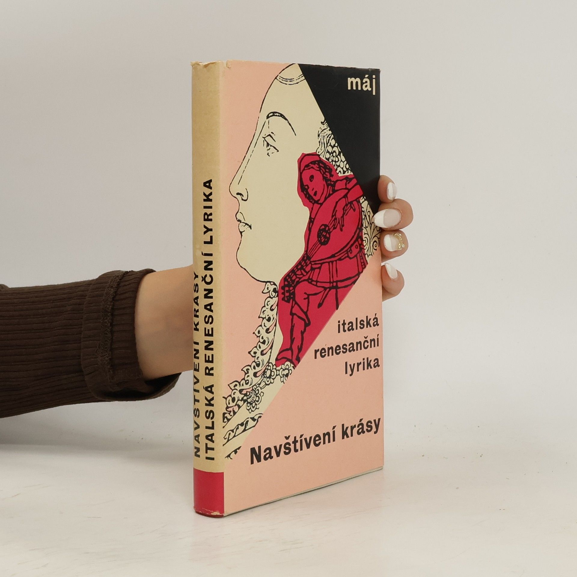 Jan Vladislav Navštívení krásy. Italská renesanční lyrika