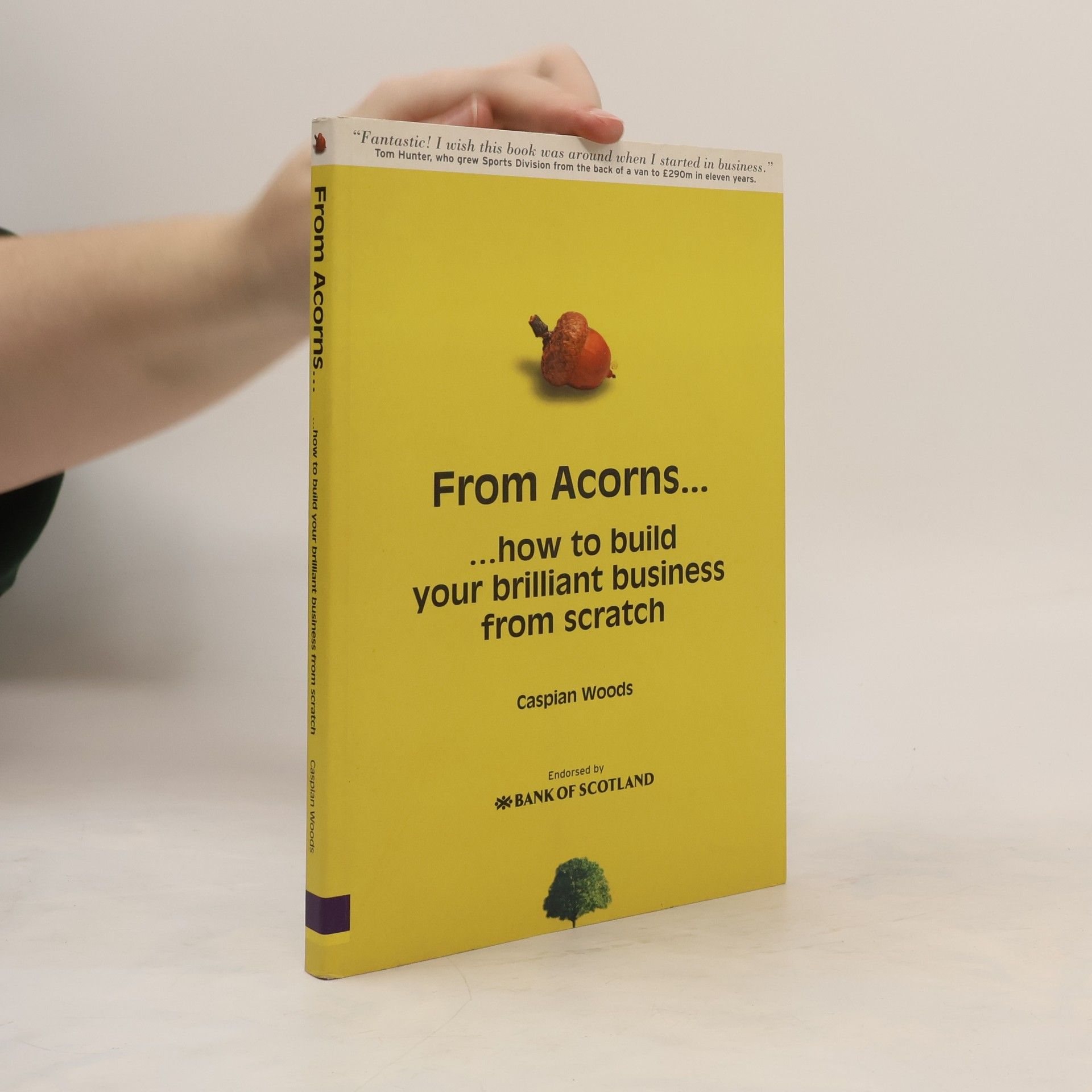 Caspian Woods From Acorns