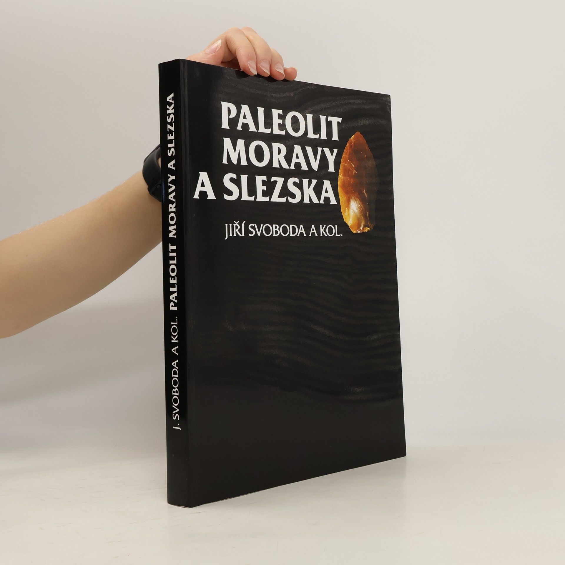Jiří Svoboda Paleolit Moravy a Slezska