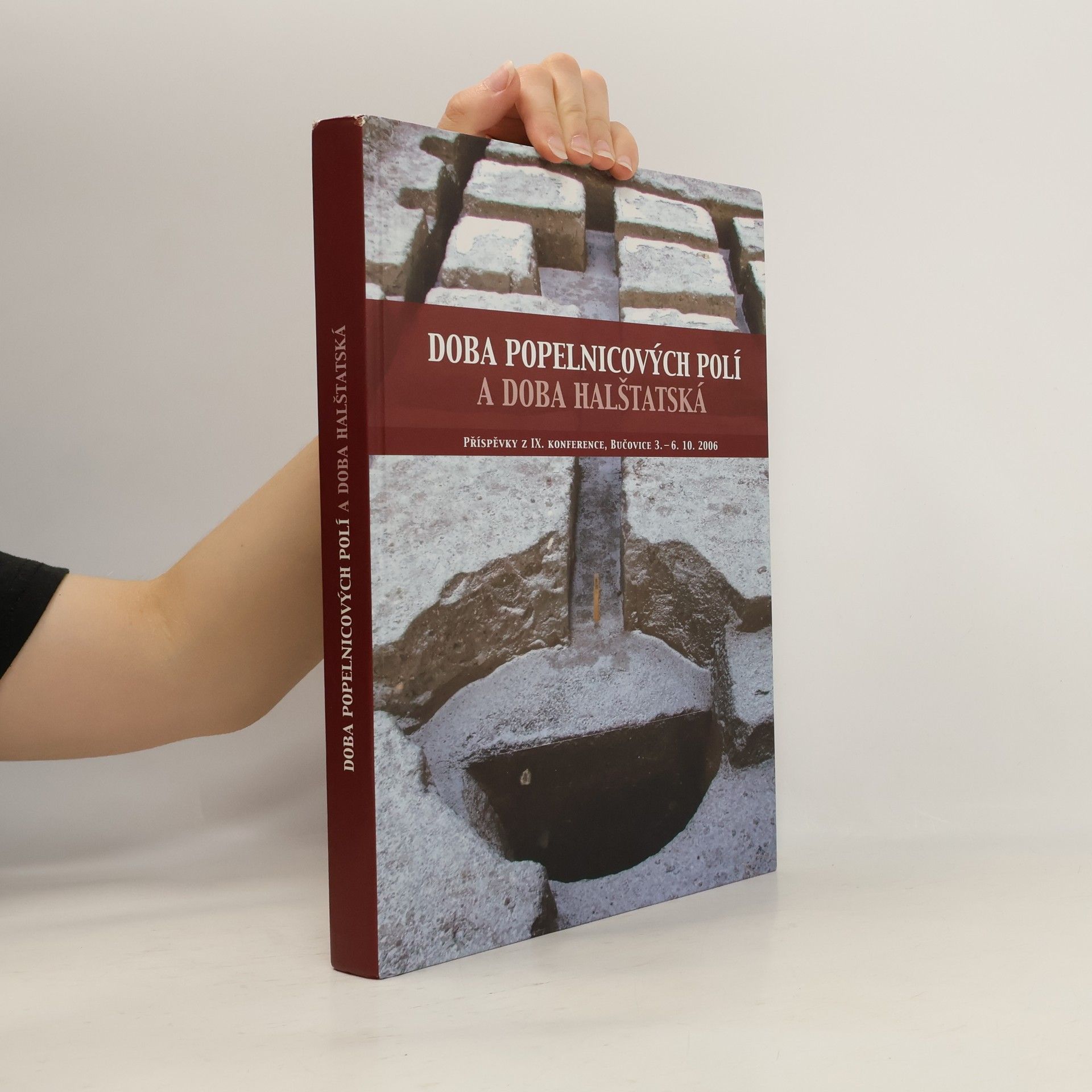 Milan Salaš Doba popelnicových polí a doba halštatská