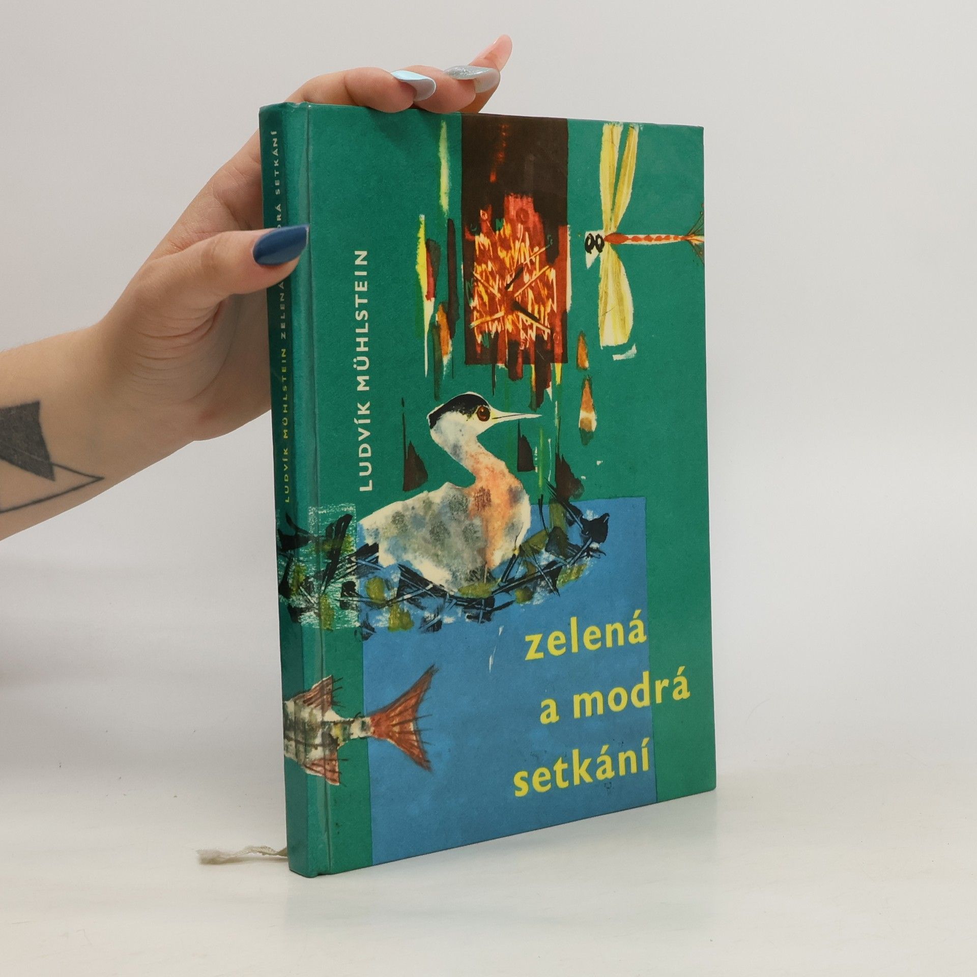Ludvík Mühlstein Zelená a modrá setkání