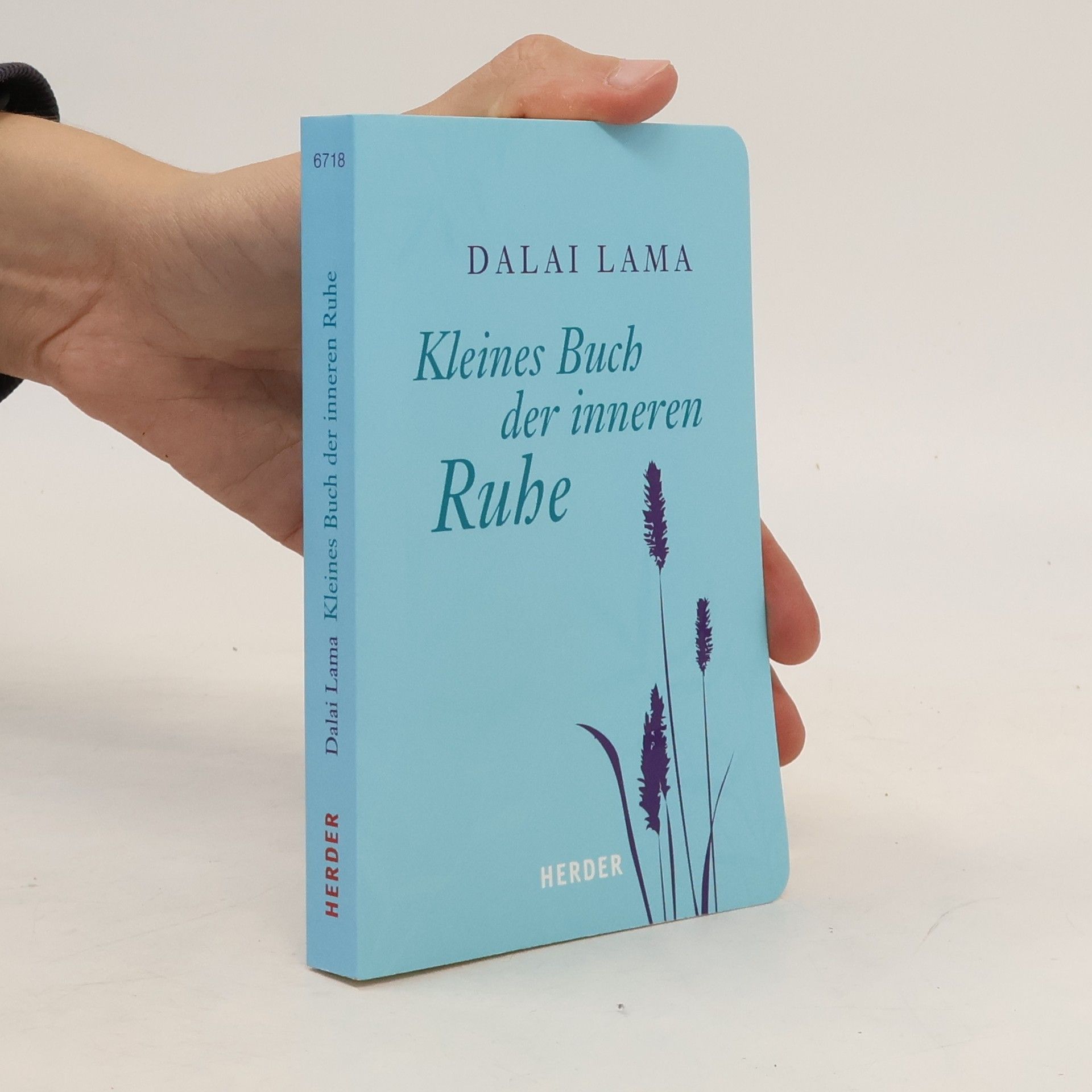 Dalajlama Kleines Buch der inneren Ruhe