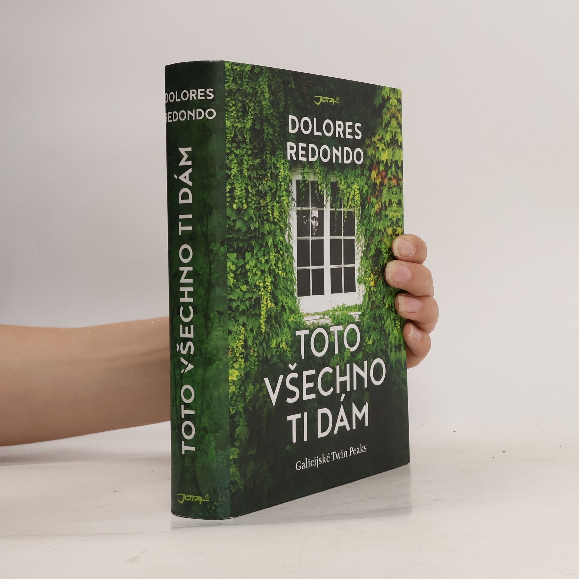 Dolores Redondo Toto všechno ti dám