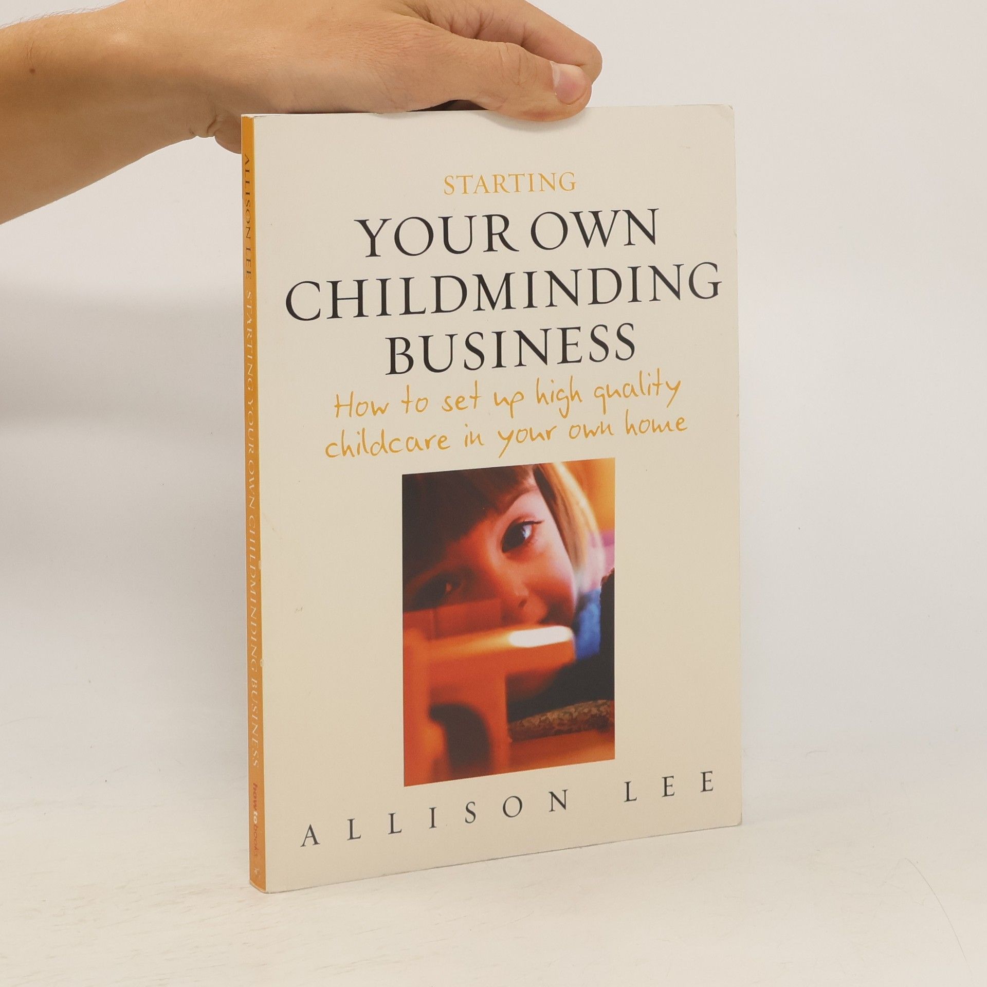 Allison Lee Starting Your Own Childminding Business