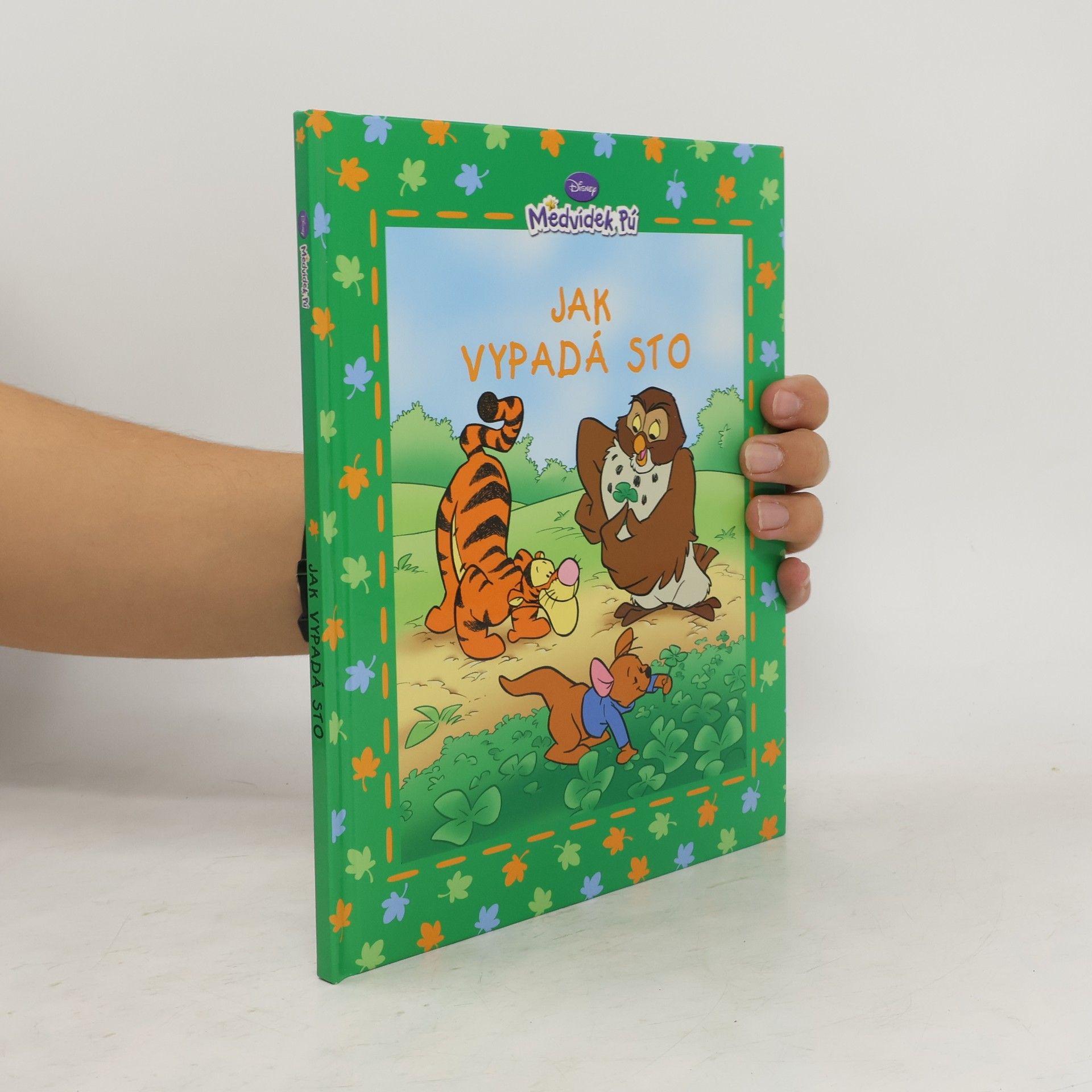 Walt Disney Medvídek Pú - Jak vypadá sto