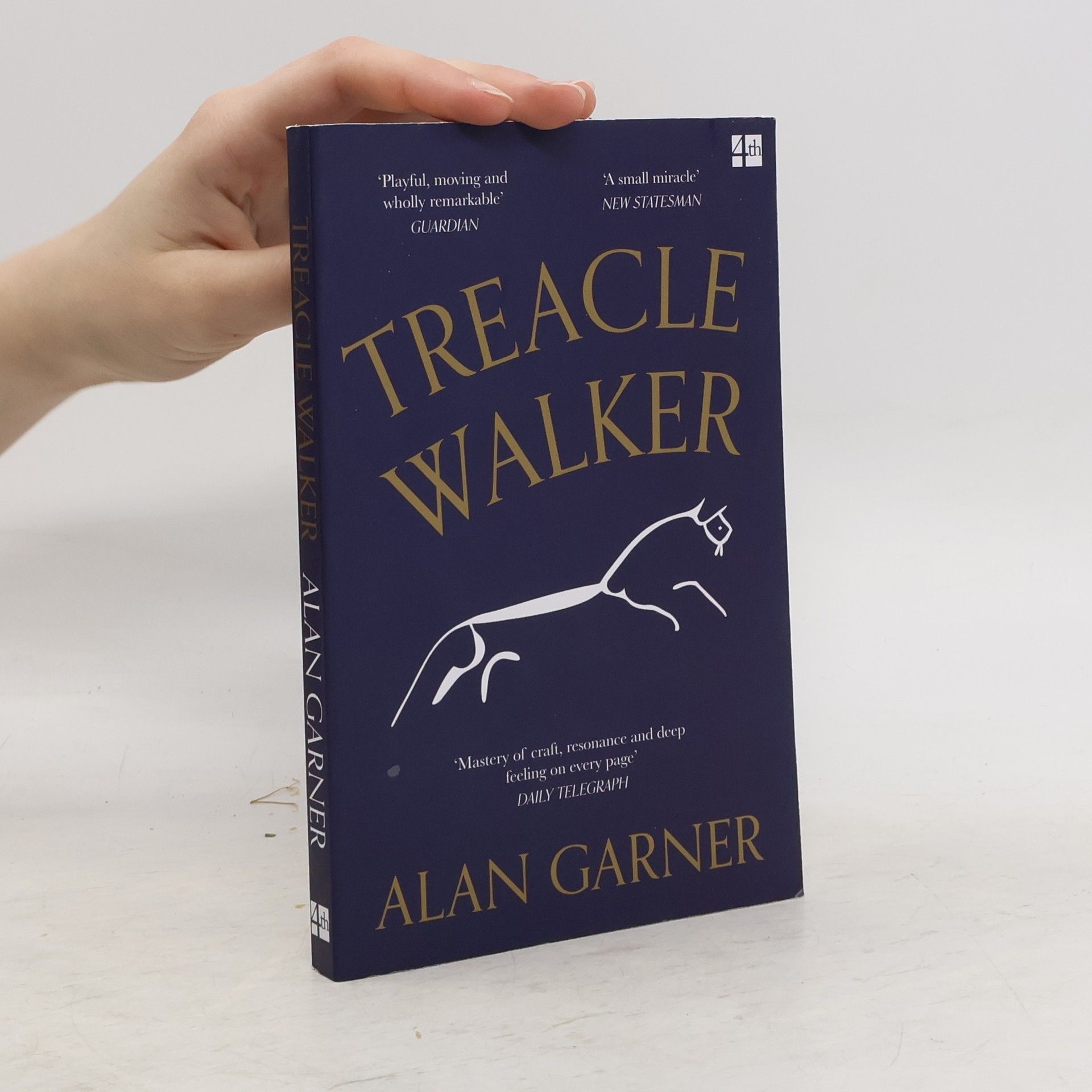 Alan Garner Treacle Walker