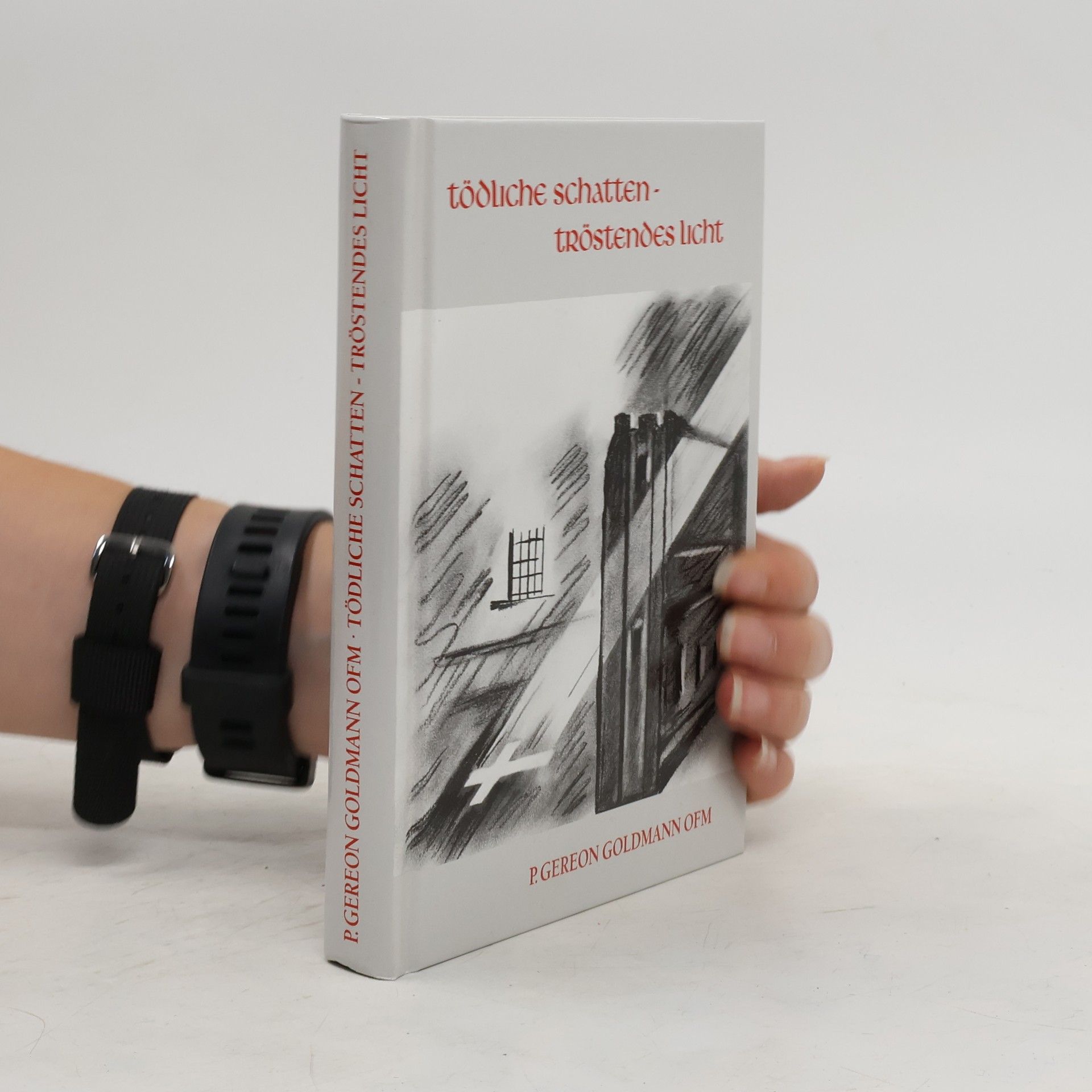Gereon Goldmann Tödliche Schatten, tröstendes Licht