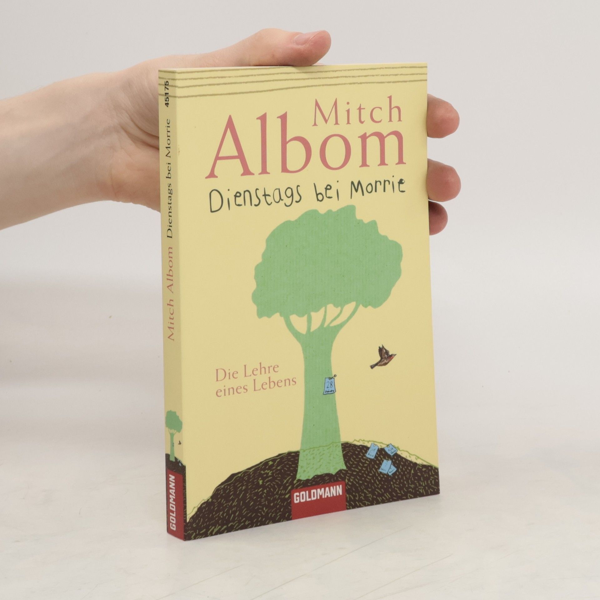 Mitch Albom Dienstags bei Morrie