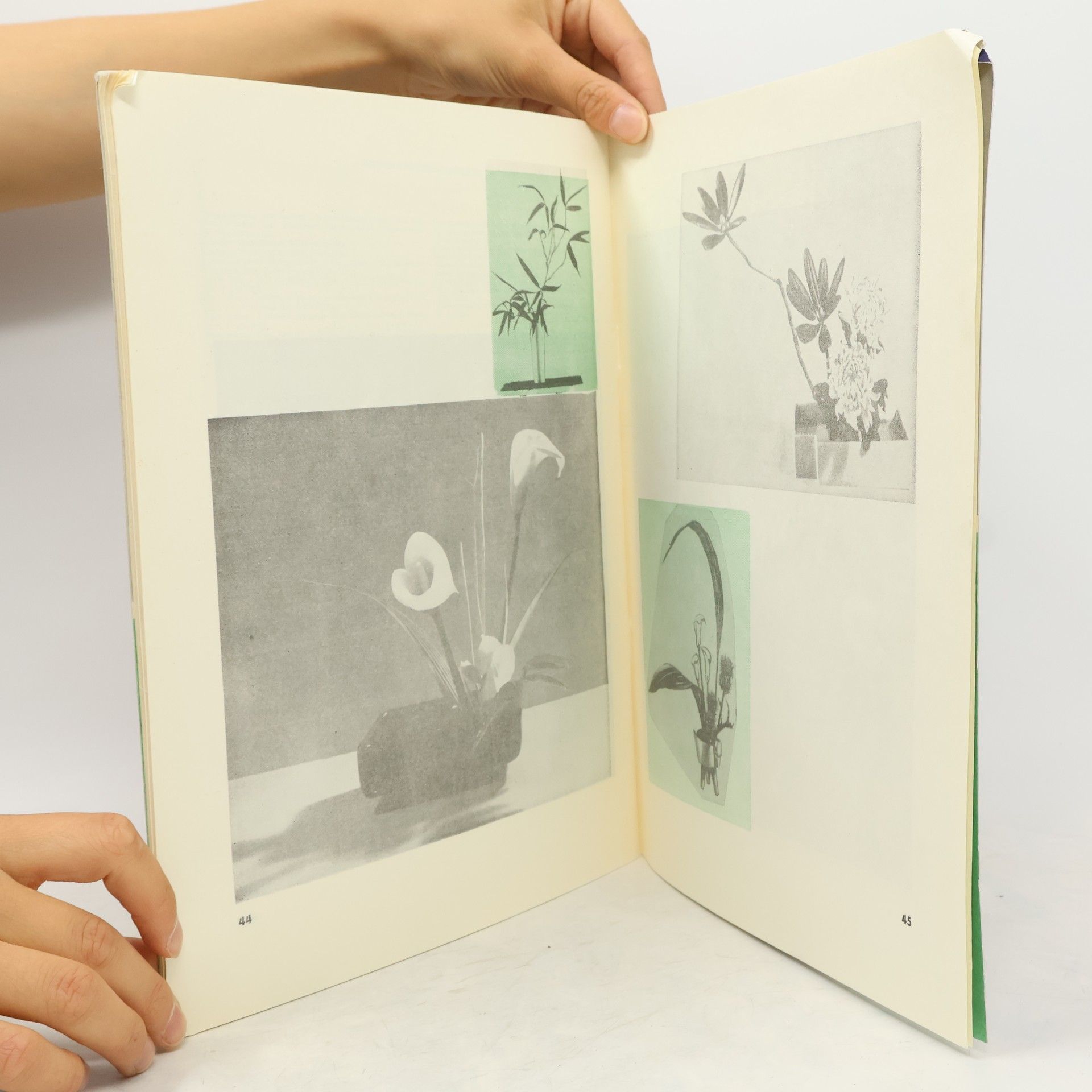 Ladislav Jakerle Ikebana