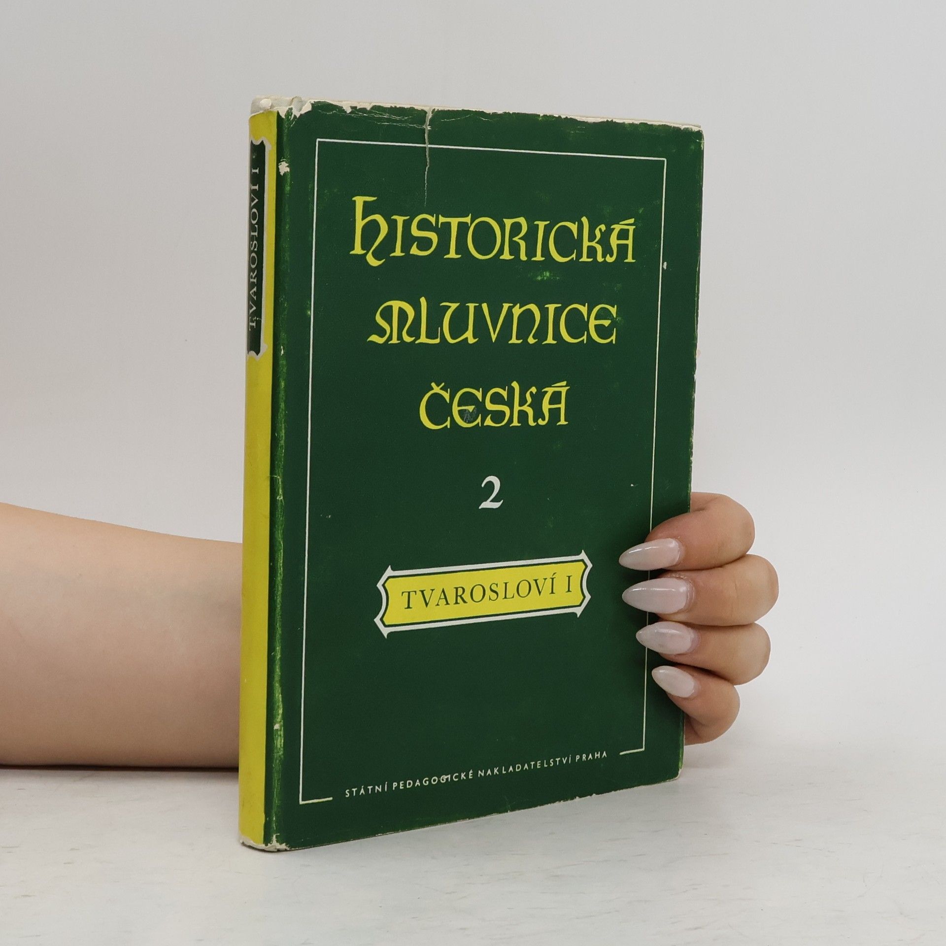 Vážný Václav Historická mluvnice česká II: Tvarosloví (1. část - skloňování)