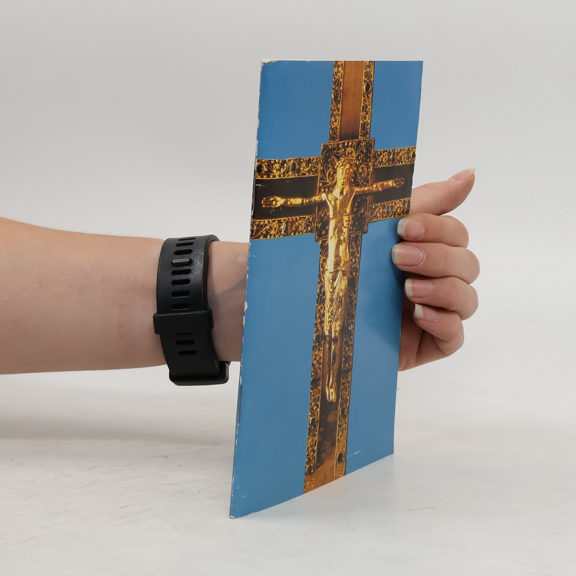 Collectif d'auteurs Vespergottesdienst mit Papst Johannes Paul II. in Münster