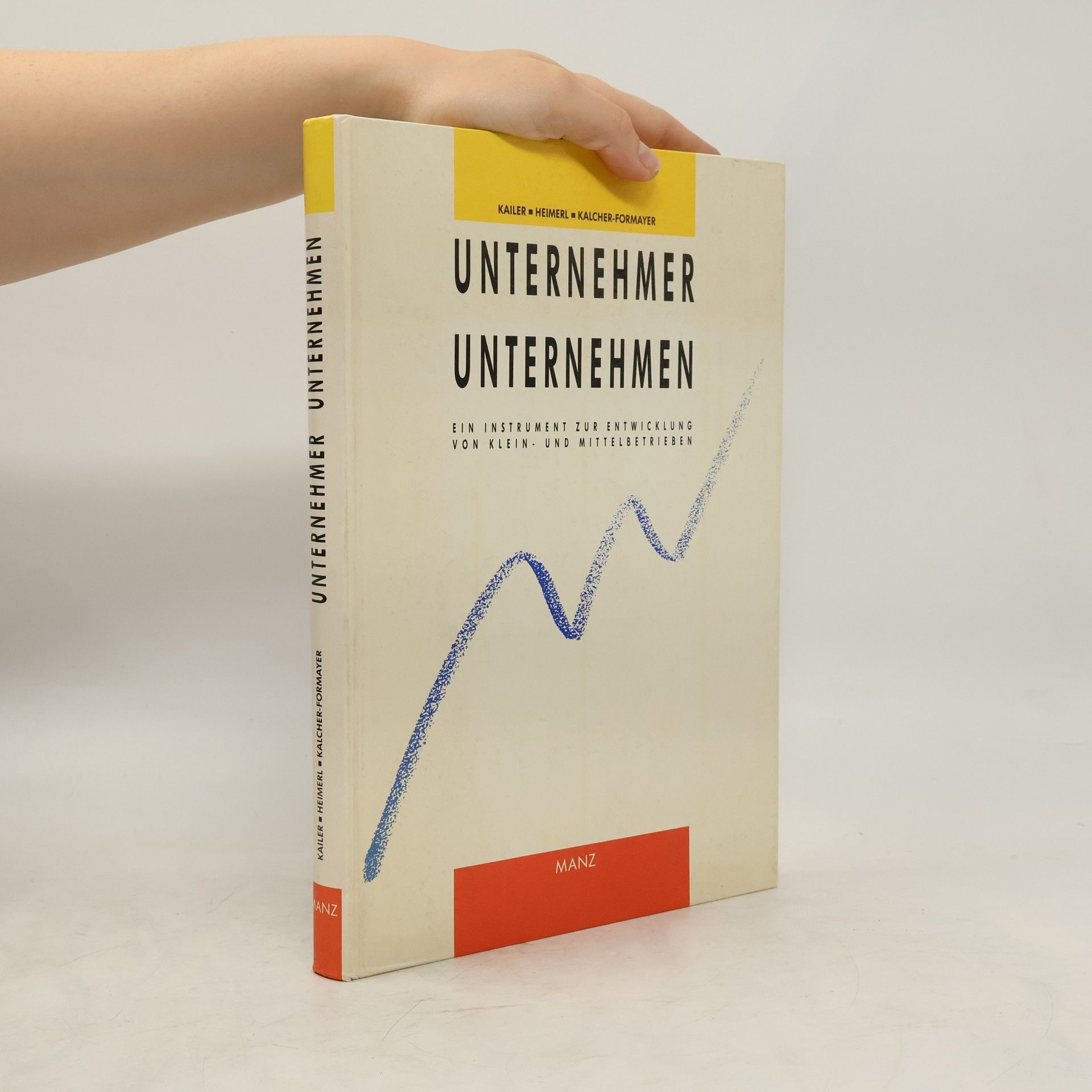 Norbert Kailer Unternehmer, Unternehmen